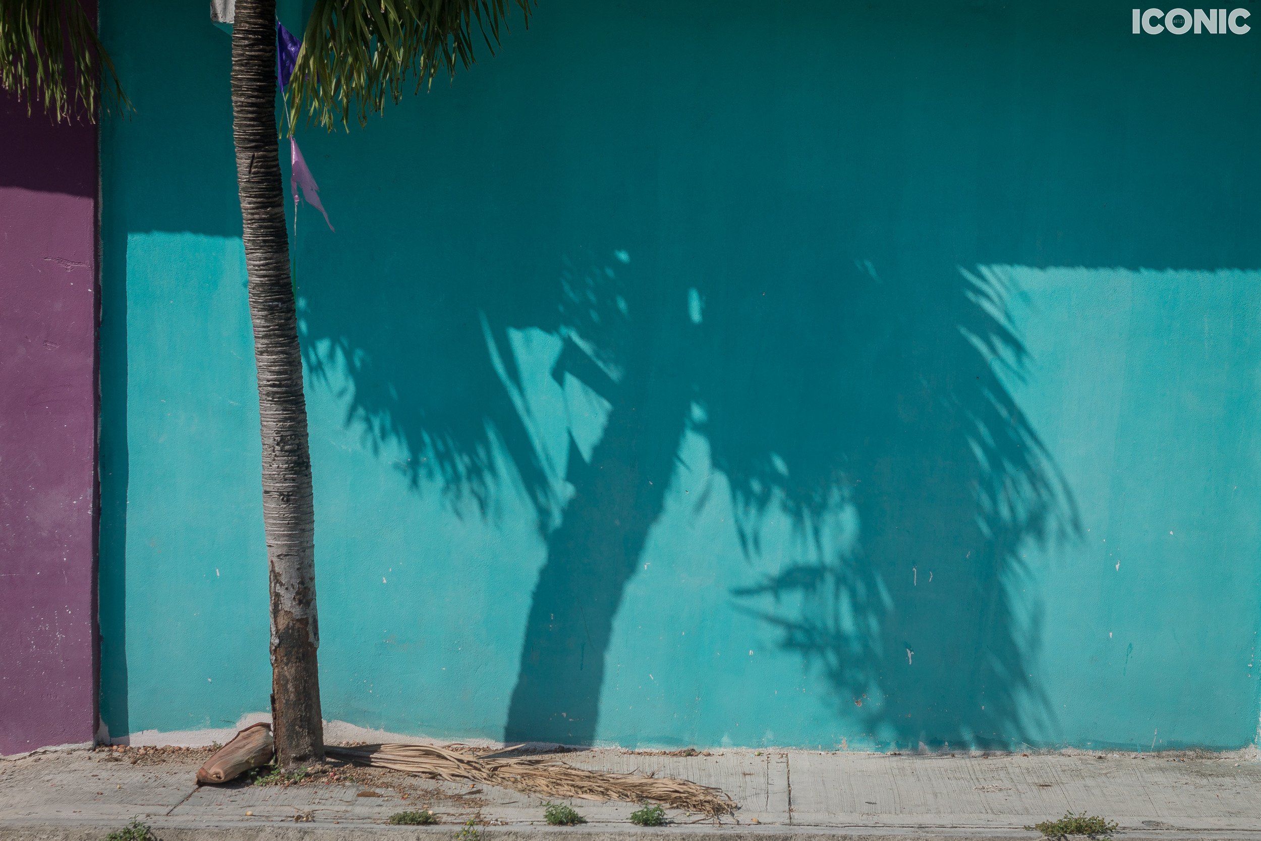 PHOTO BY
Rita Piludu
.