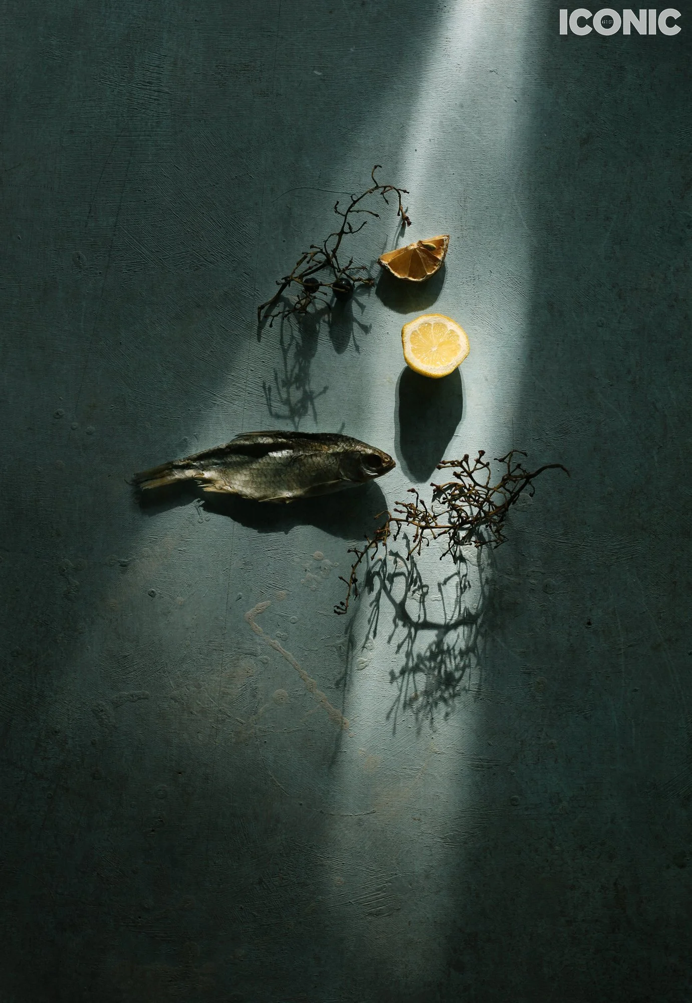 PHOTO BY
Masha Sapego
.