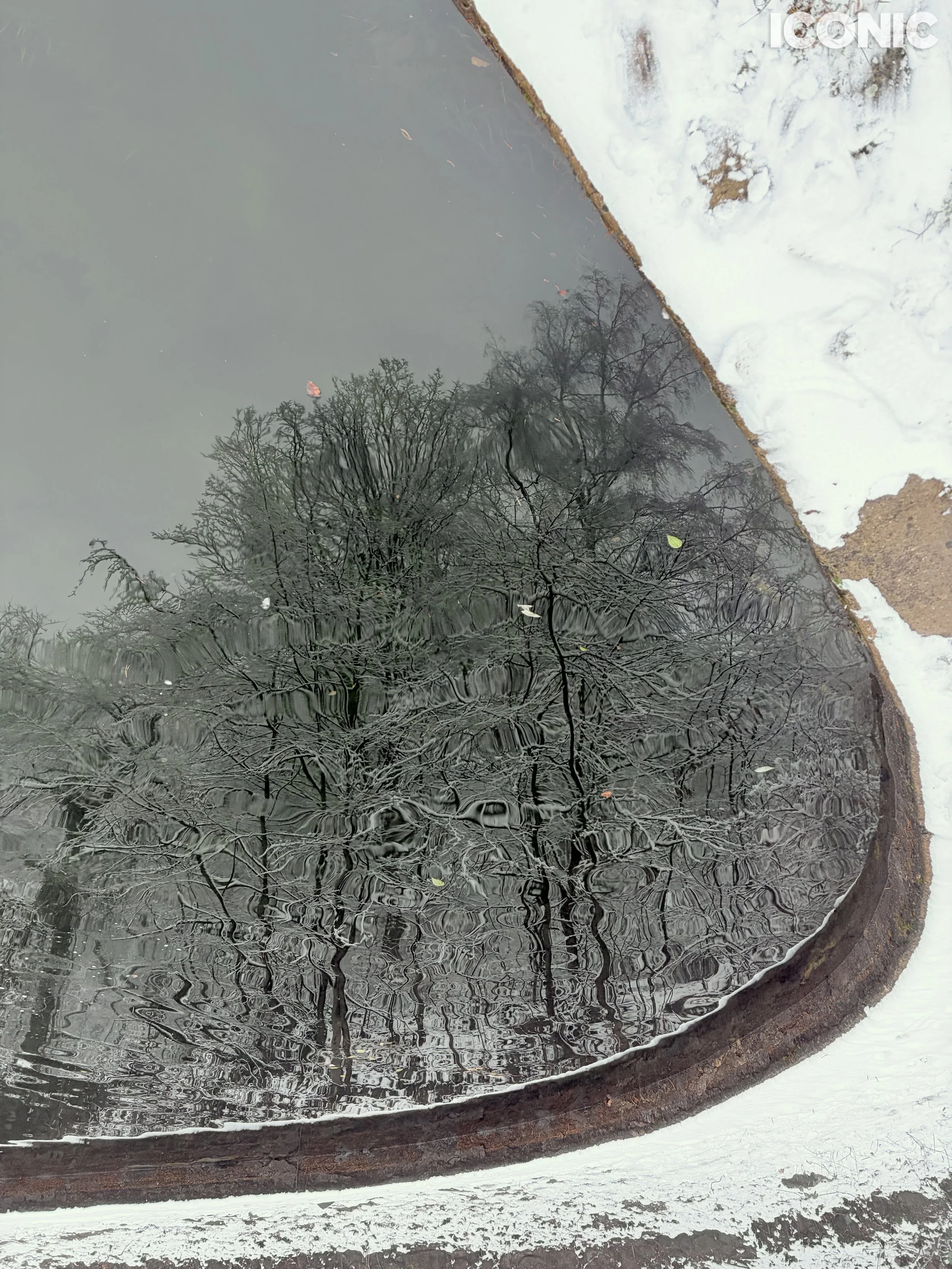 PHOTO BY
Larisa Usmanova
.