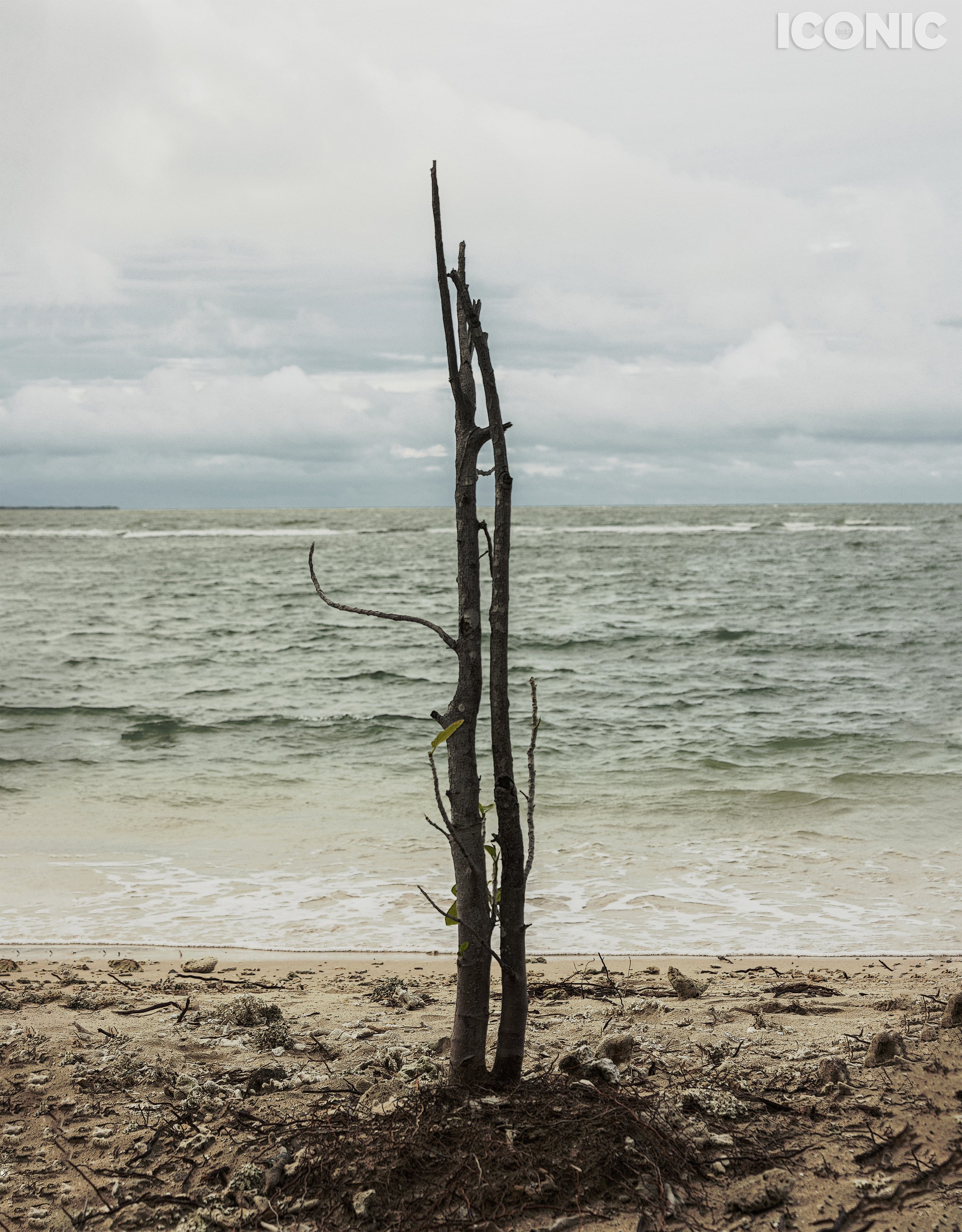 PHOTO BY
Ekaterina Kott
.