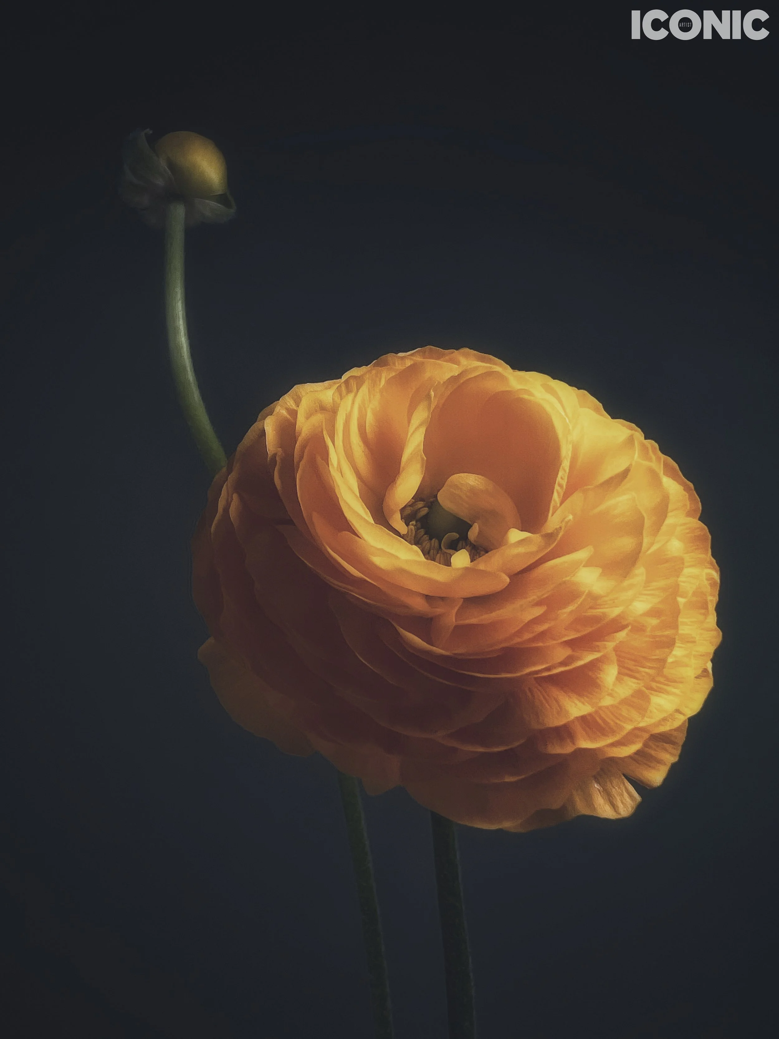 PHOTO BY
Filatova Viktoria
_