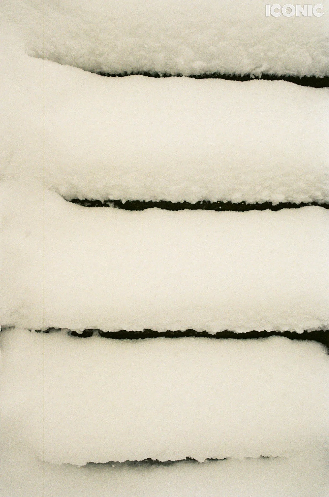 PHOTO BY
Anna Leonidov
.