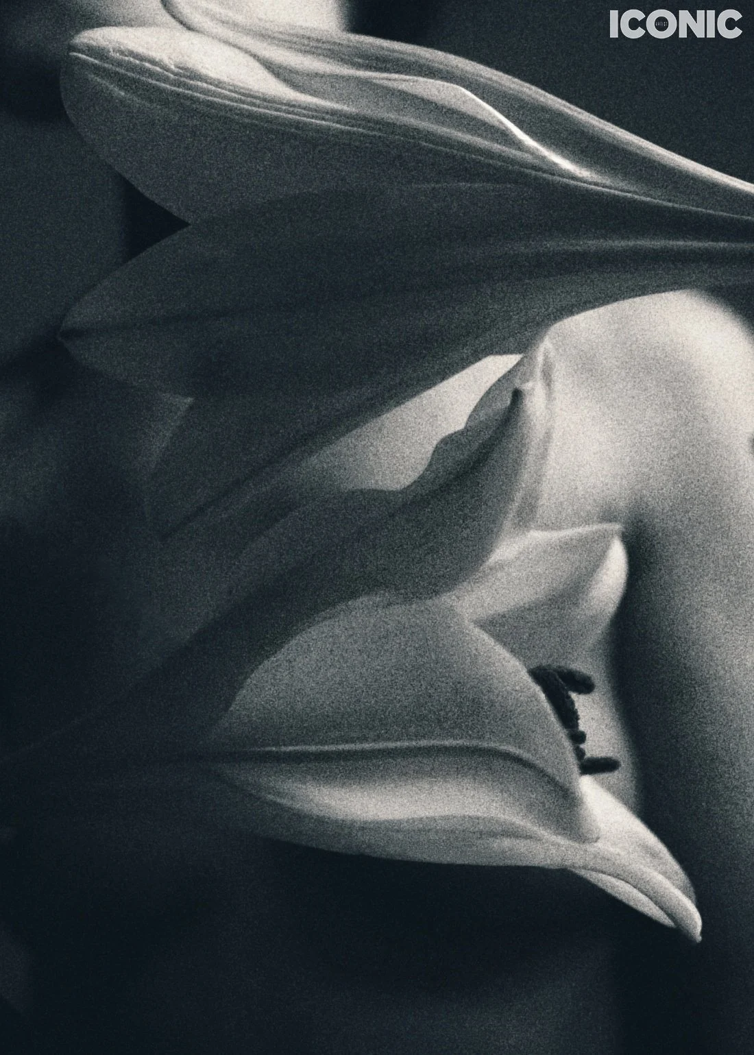 PHOTO BY
Yulia Bilato
.