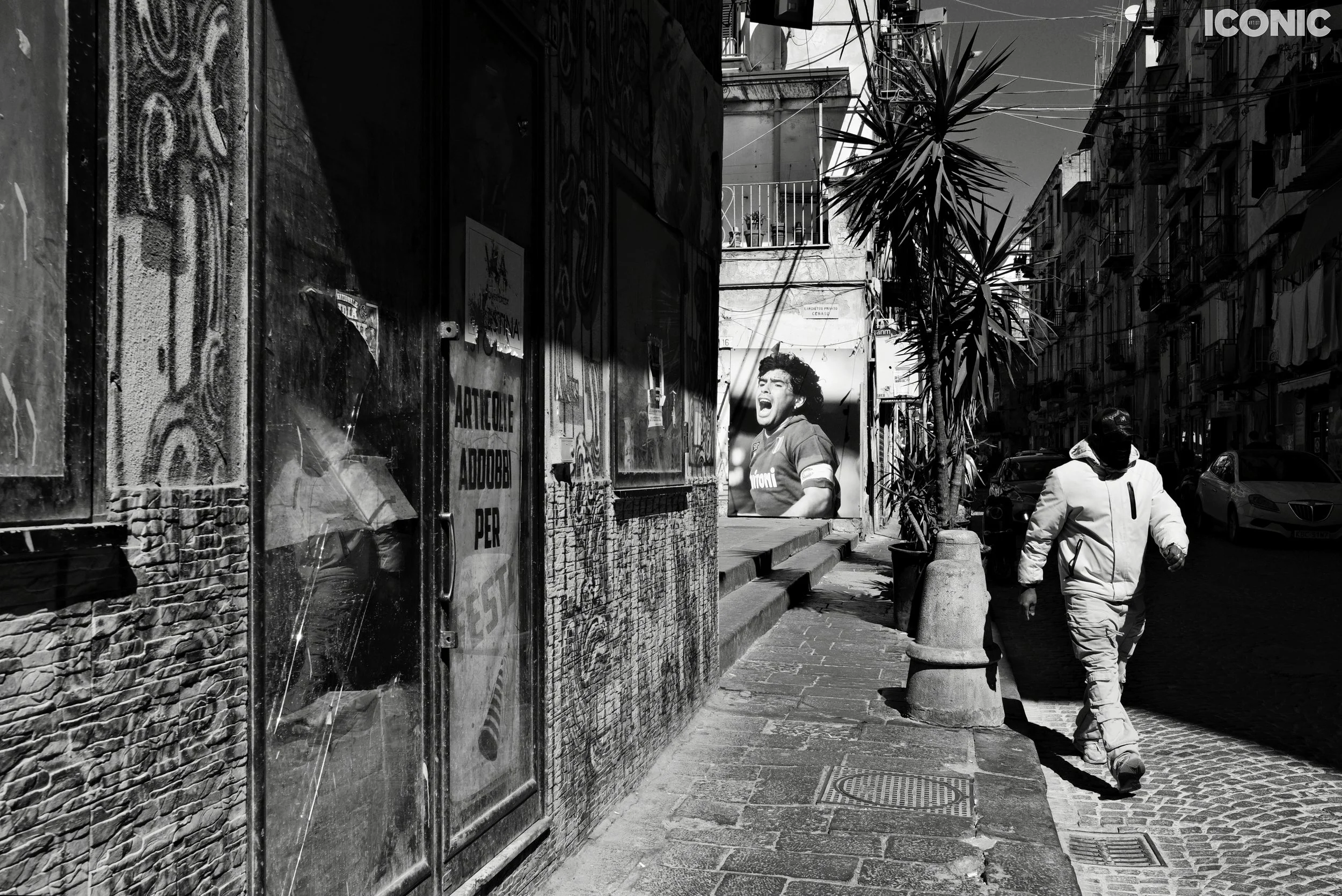 PHOTO BY
Giuliano Vollaro
.