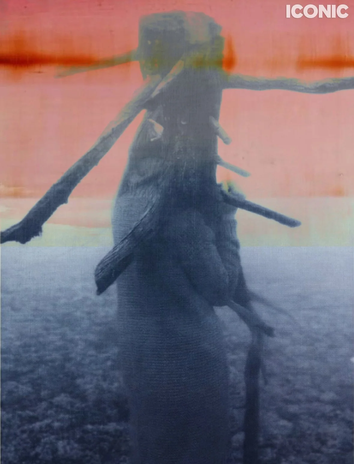 PHOTO BY
Elena Batanova
.