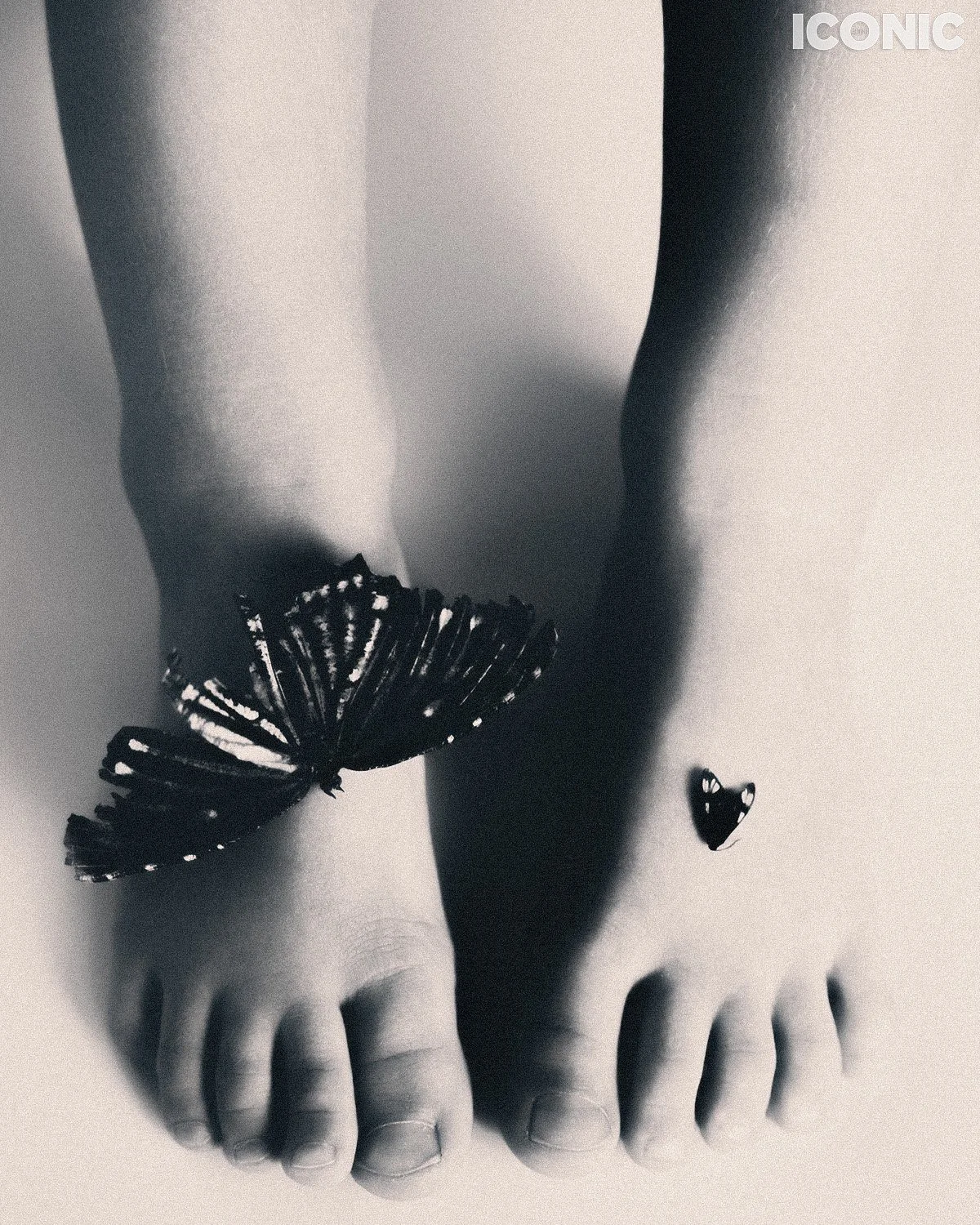 PHOTO BY
Ekaterina Bazhul
.