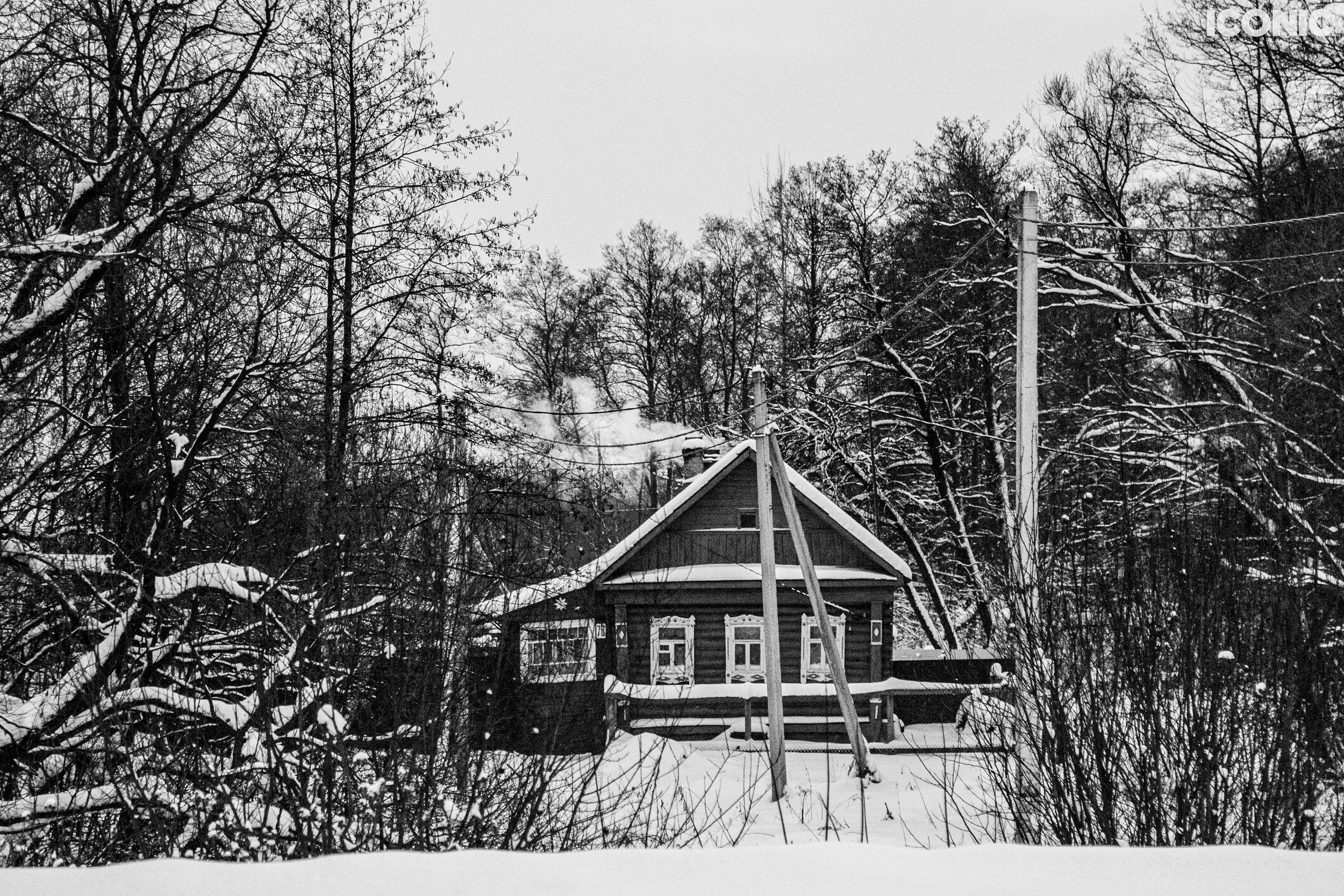 PHOTO BY
Oksana Merzlikina
.