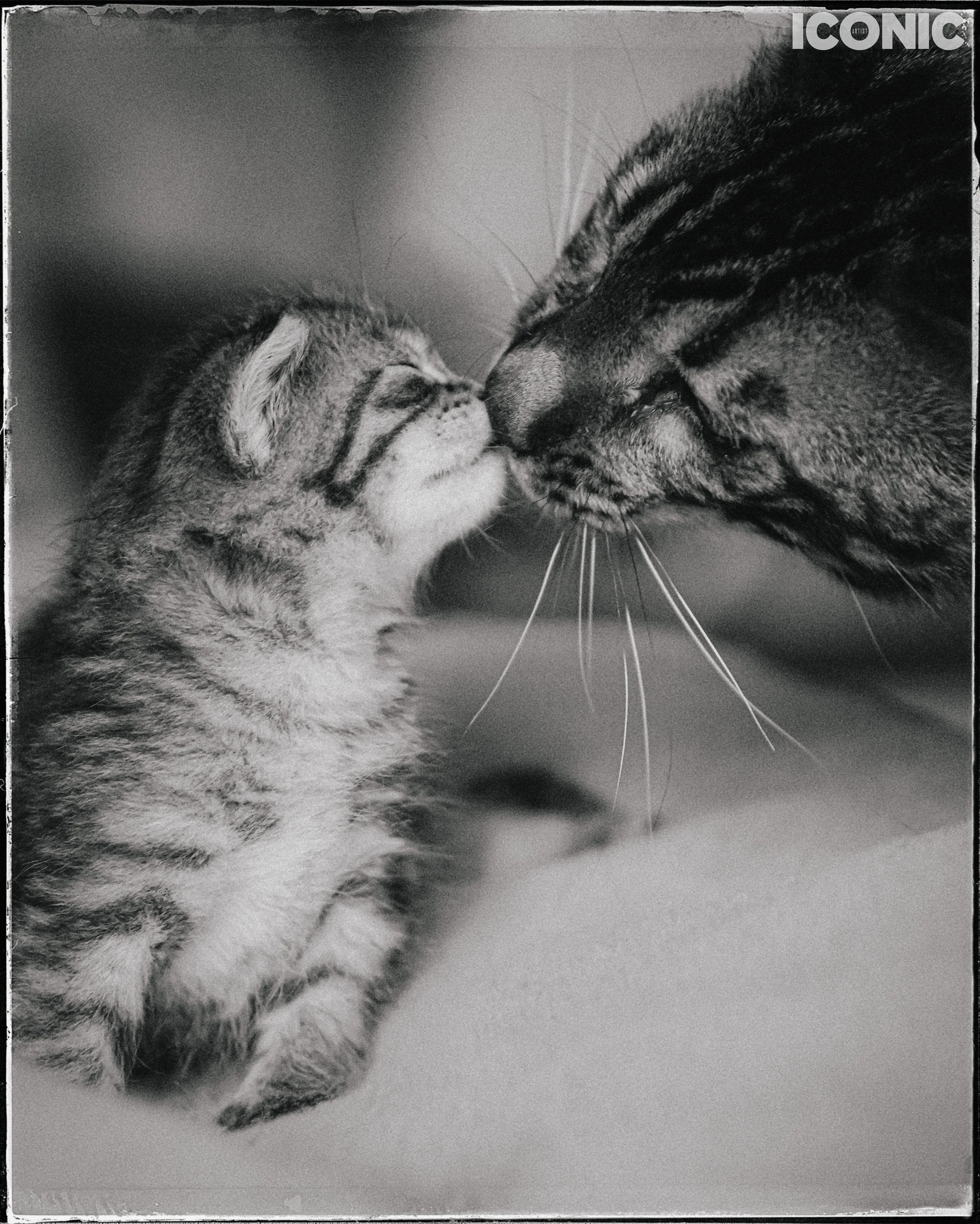 PHOTO BY
Nataliia Glynova
.