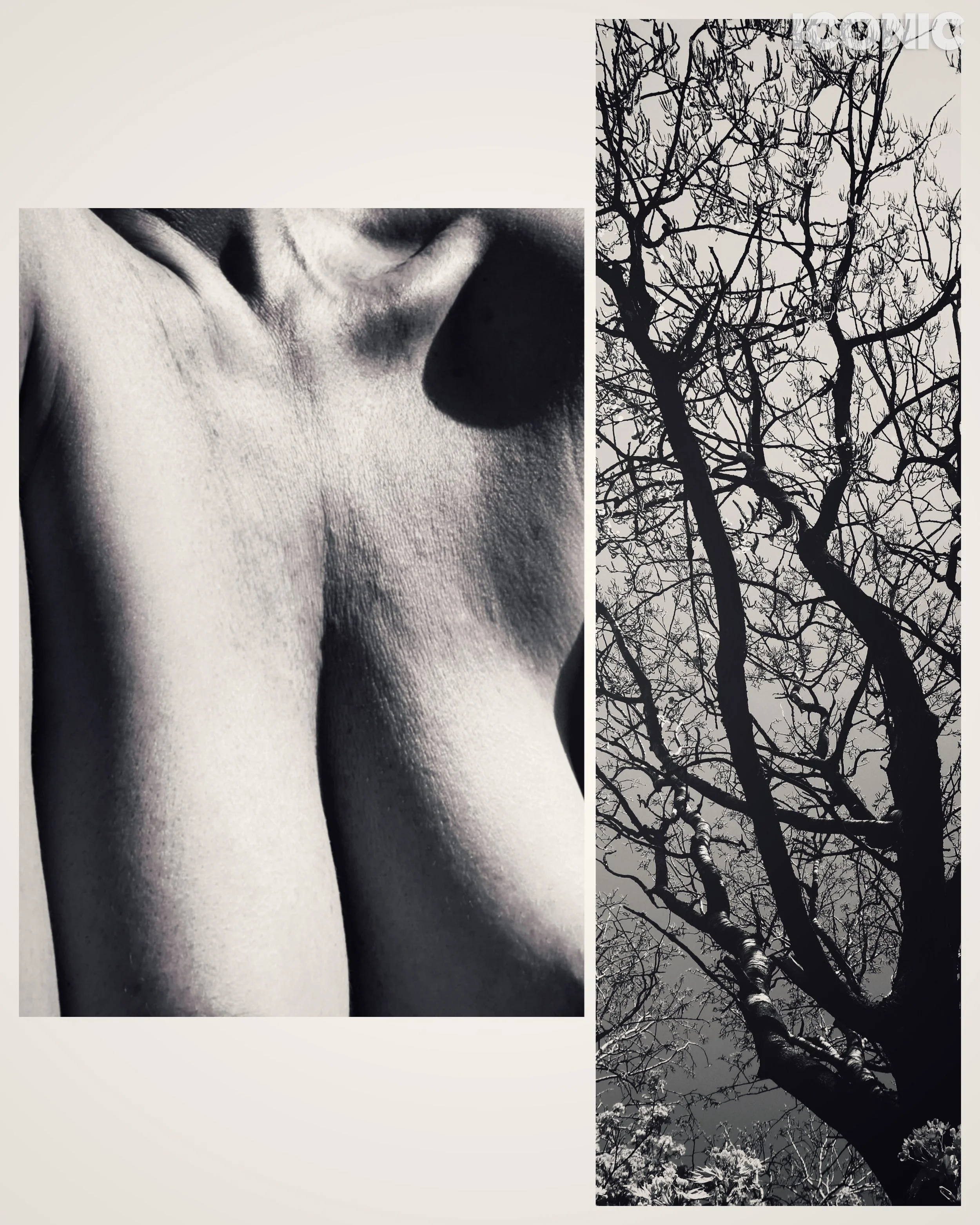 PHOTO BY
Inna Sknara
_
