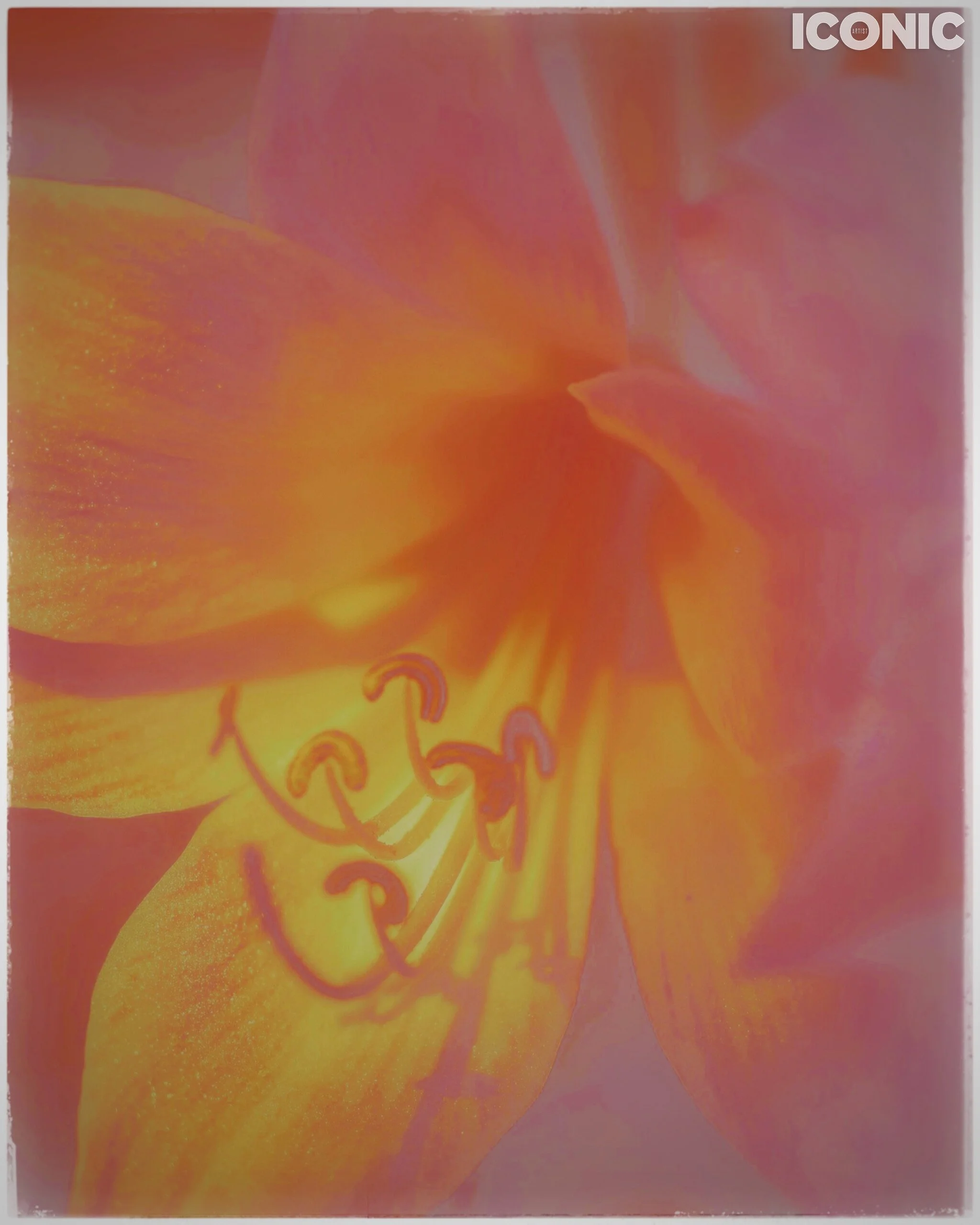 PHOTO BY
Alexandra Sergeeva
.