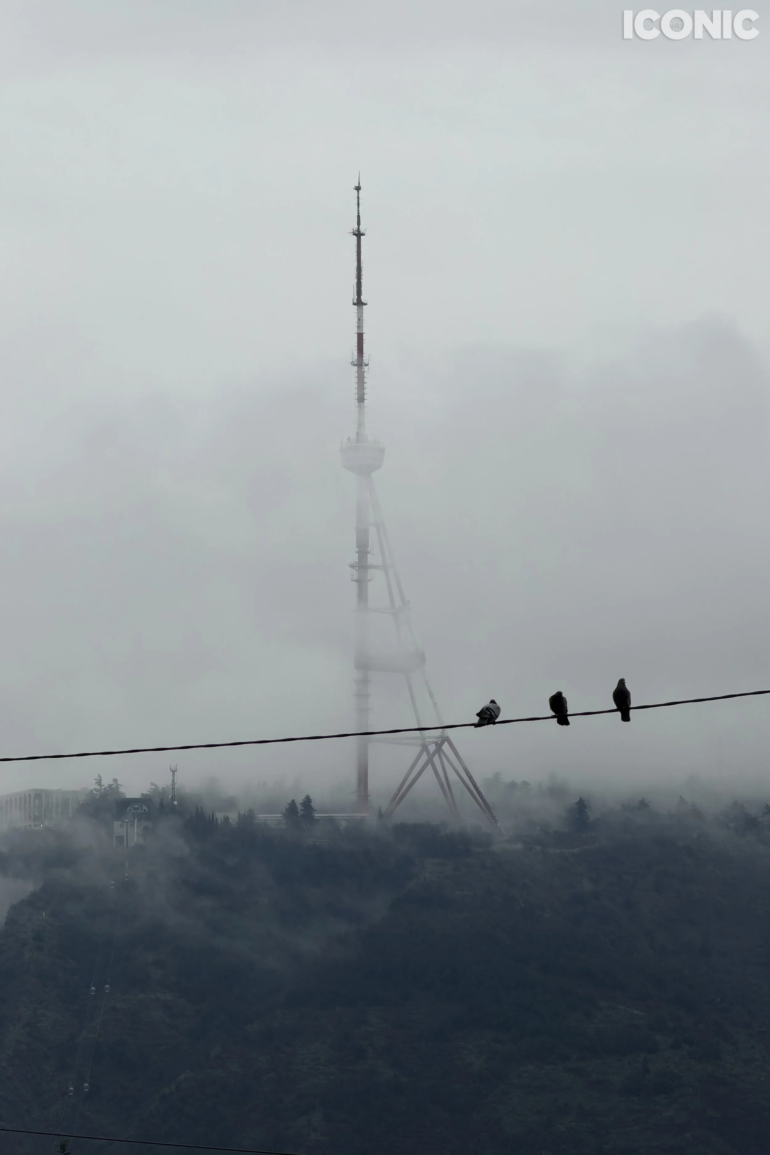 PHOTO BY
Daria Popova
.