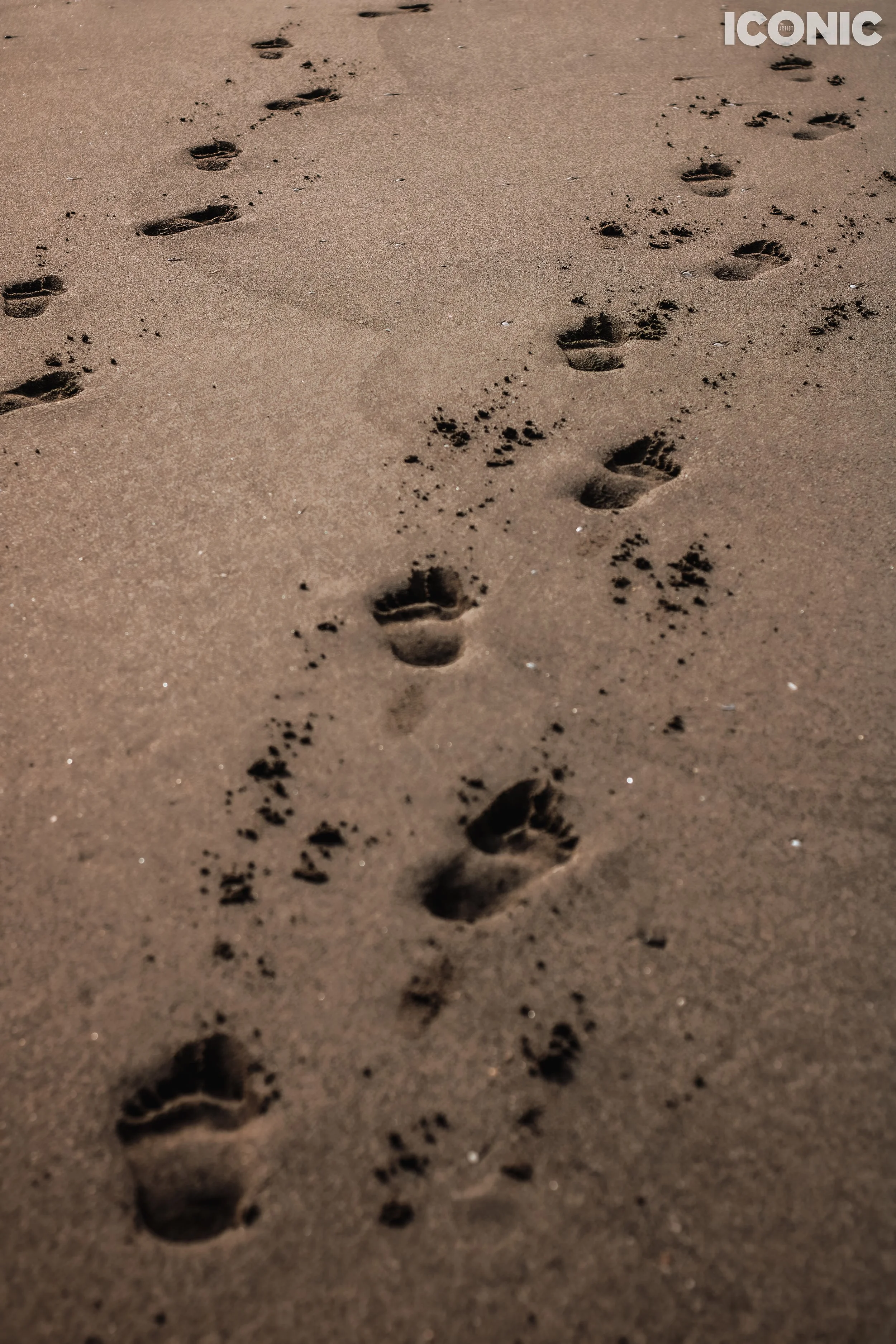 PHOTO BY
Tiziana Gherardi
.