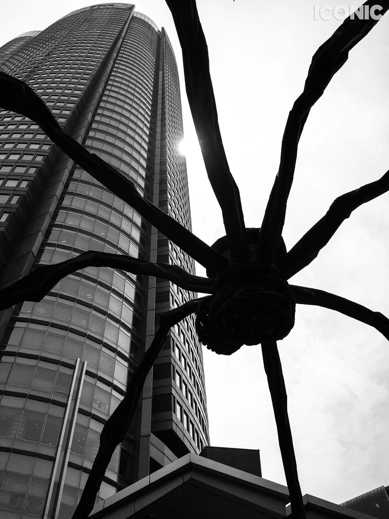 PHOTO BY
Haafiz Dubois
.