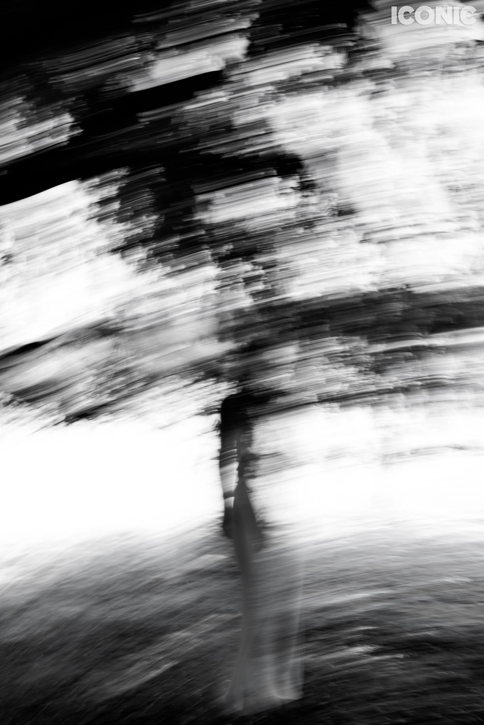 PHOTO BY
Anya Raiszadeh
.