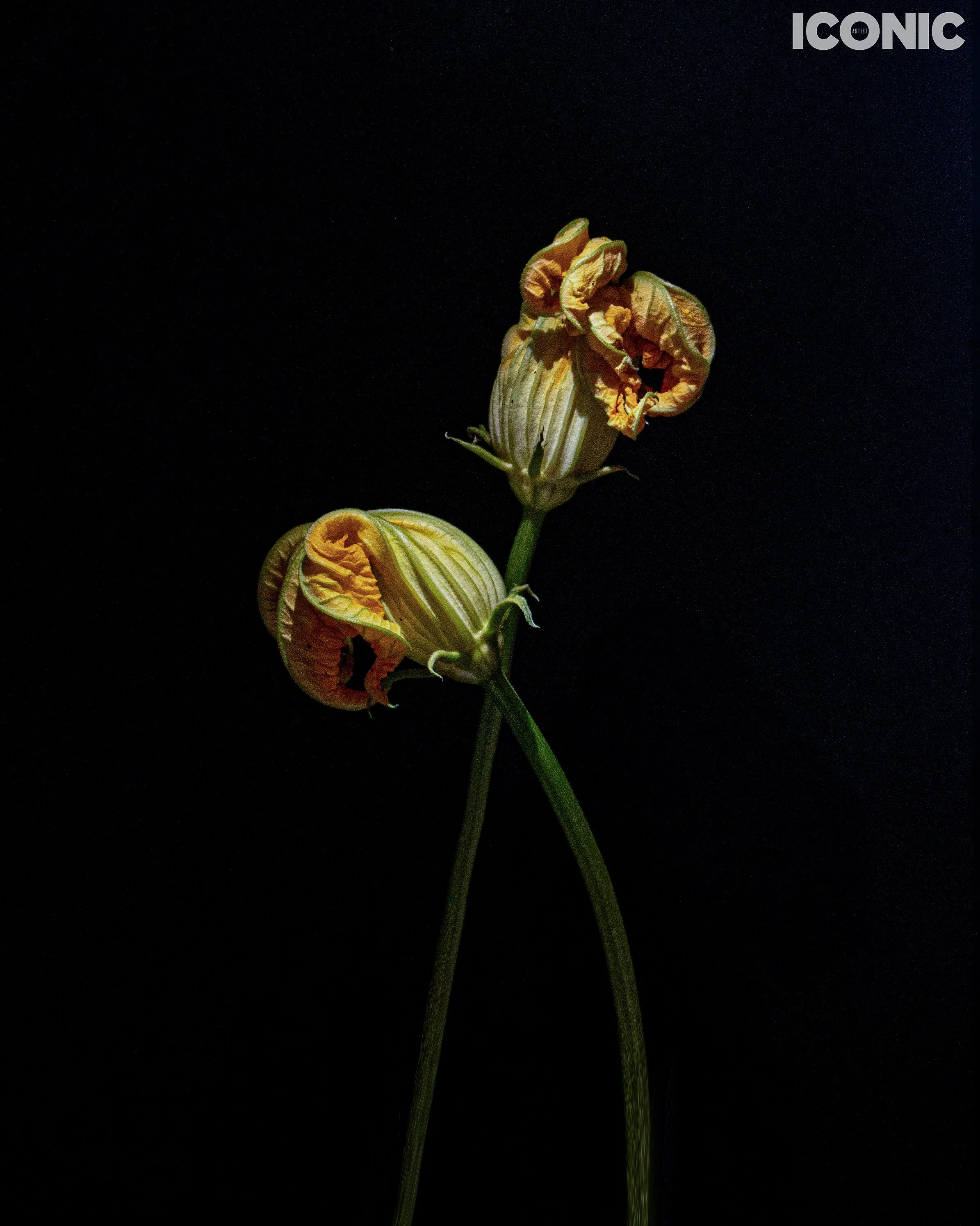 PHOTO BY
Marina Uglanova
.