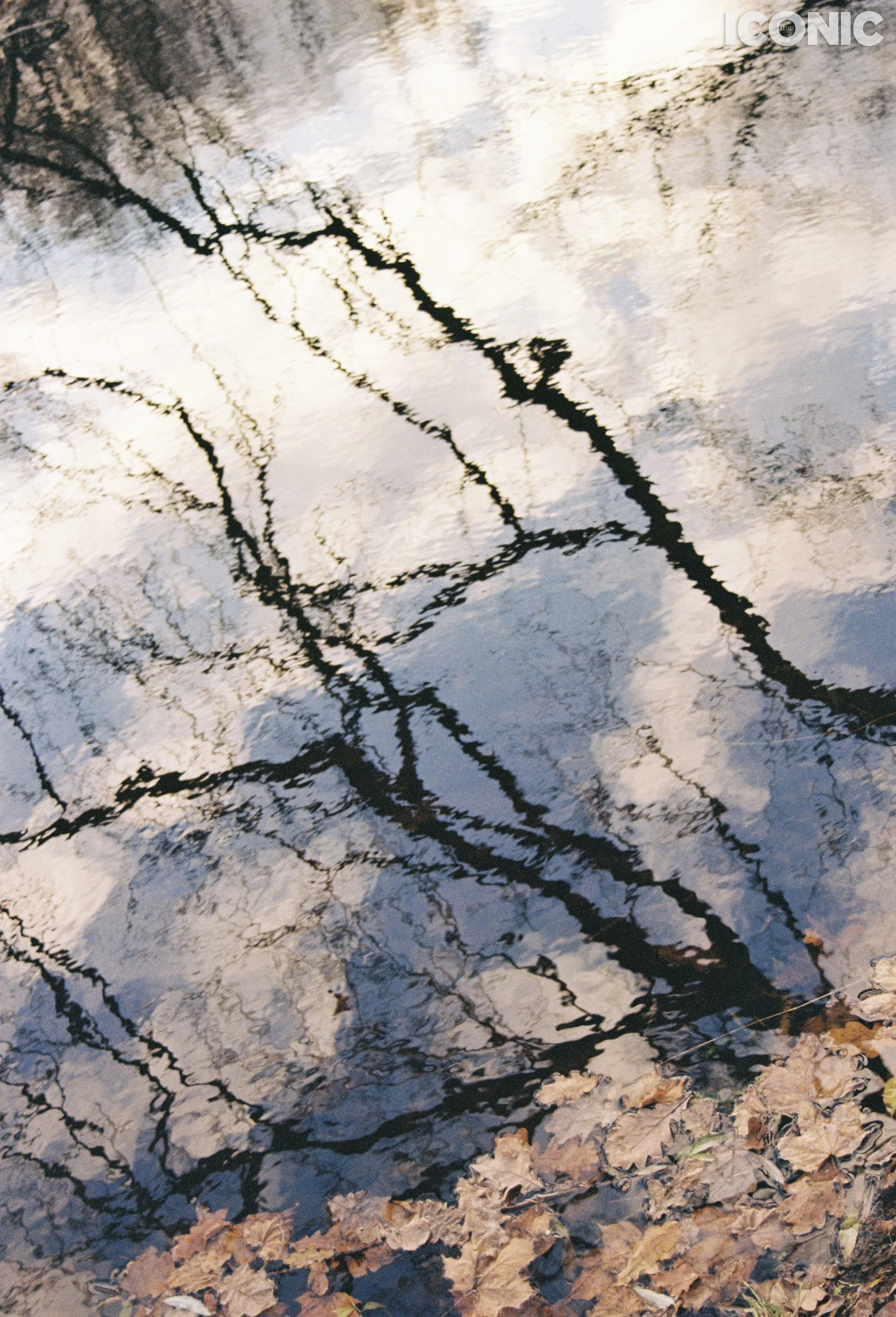 PHOTO BY
Lyusiya Denisova
.