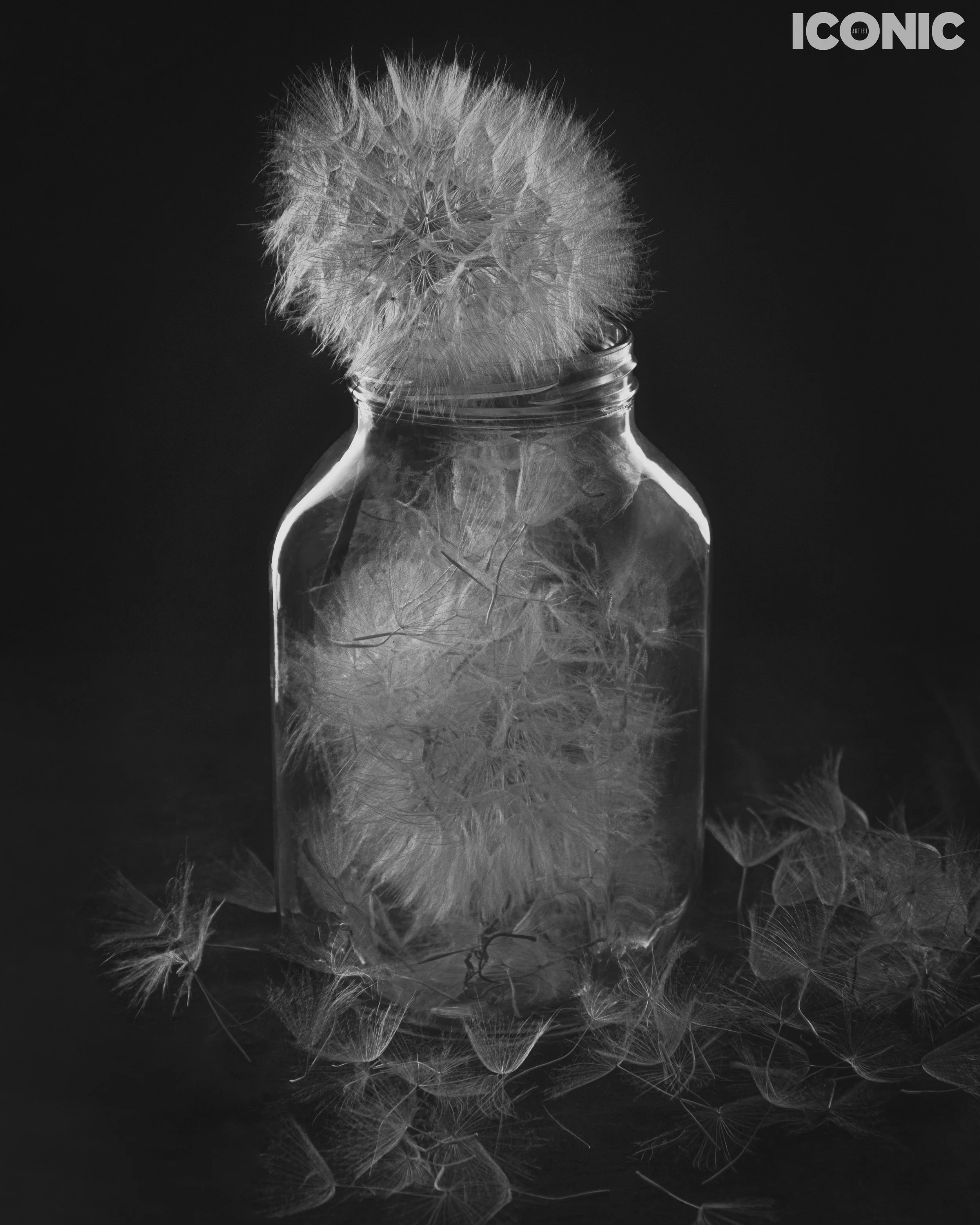 PHOTO BY
Natalya Marasinskaya
.