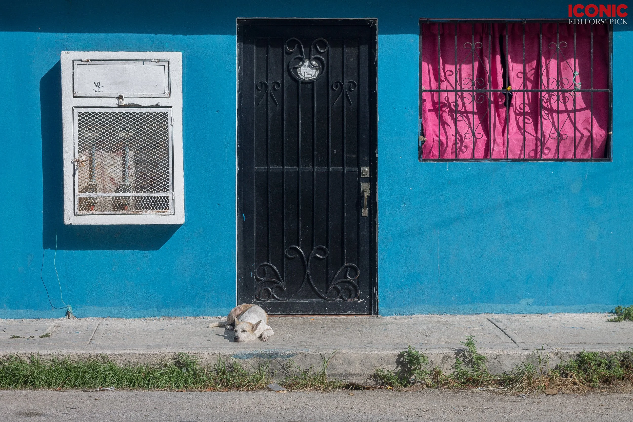 PHOTO BY
Rita Piludu
.