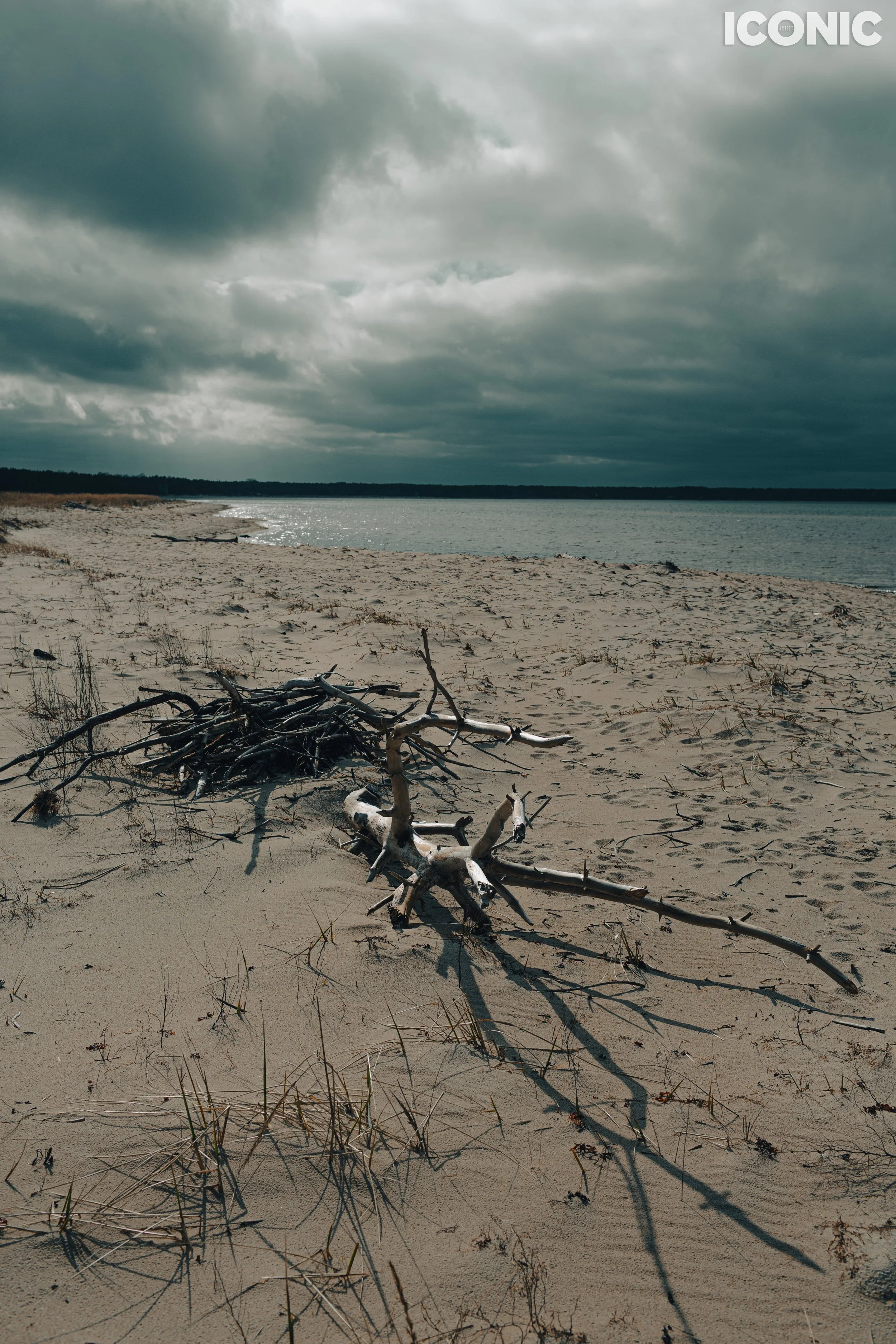 PHOTO BY
Igor Vatral
.