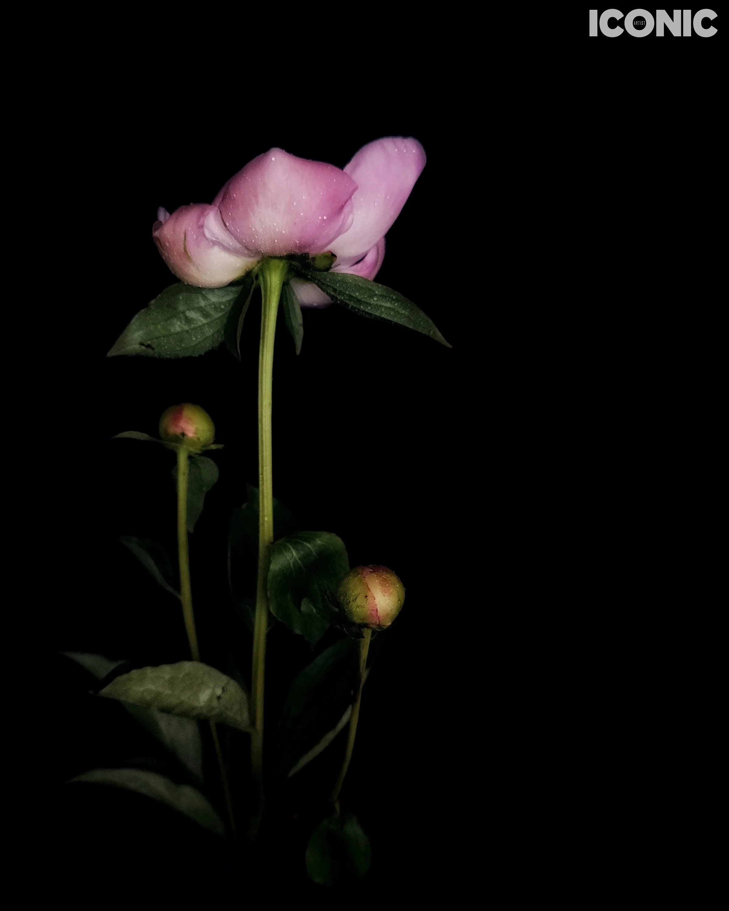 PHOTO BY
Aleksandra Kropivka
.