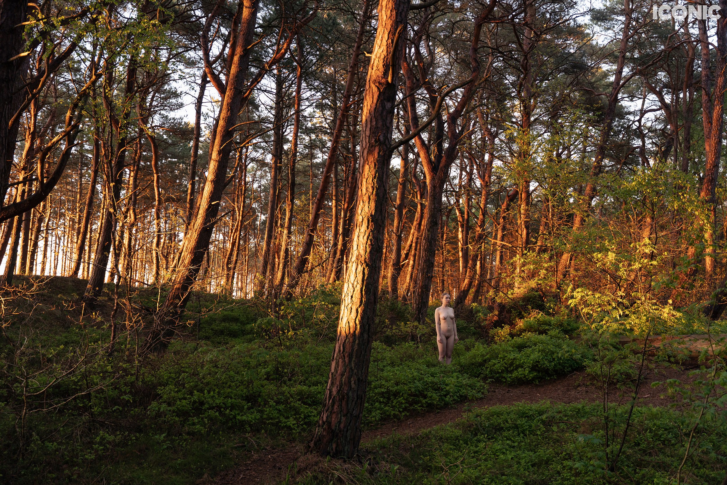 PHOTO BY
Piotr Kwit
.