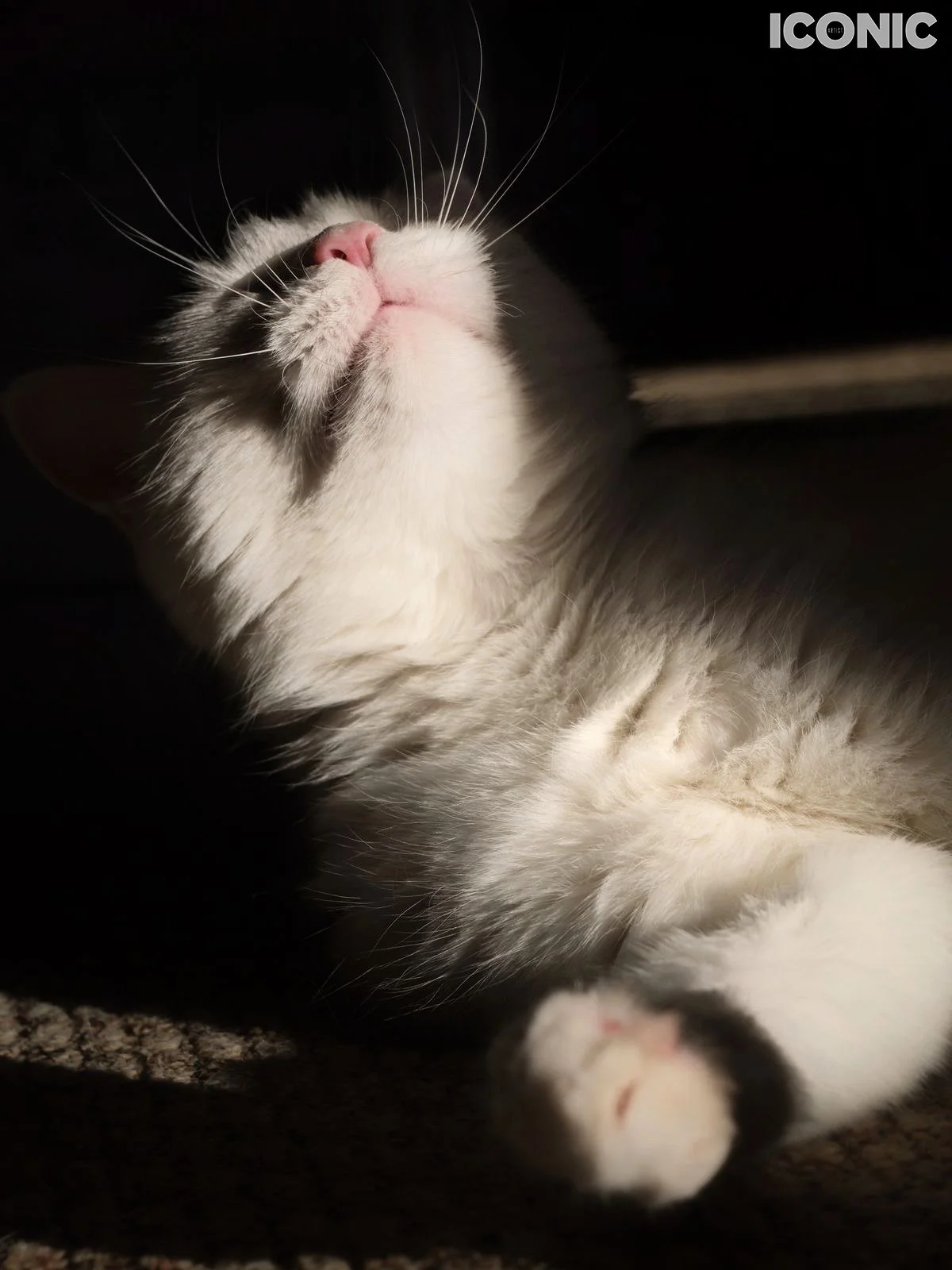 PHOTO BY
Olga Groznetskaya
.