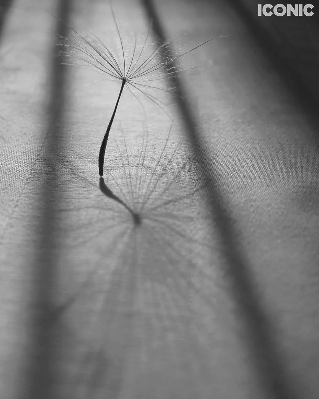 PHOTO BY
Marina Sirotina
.