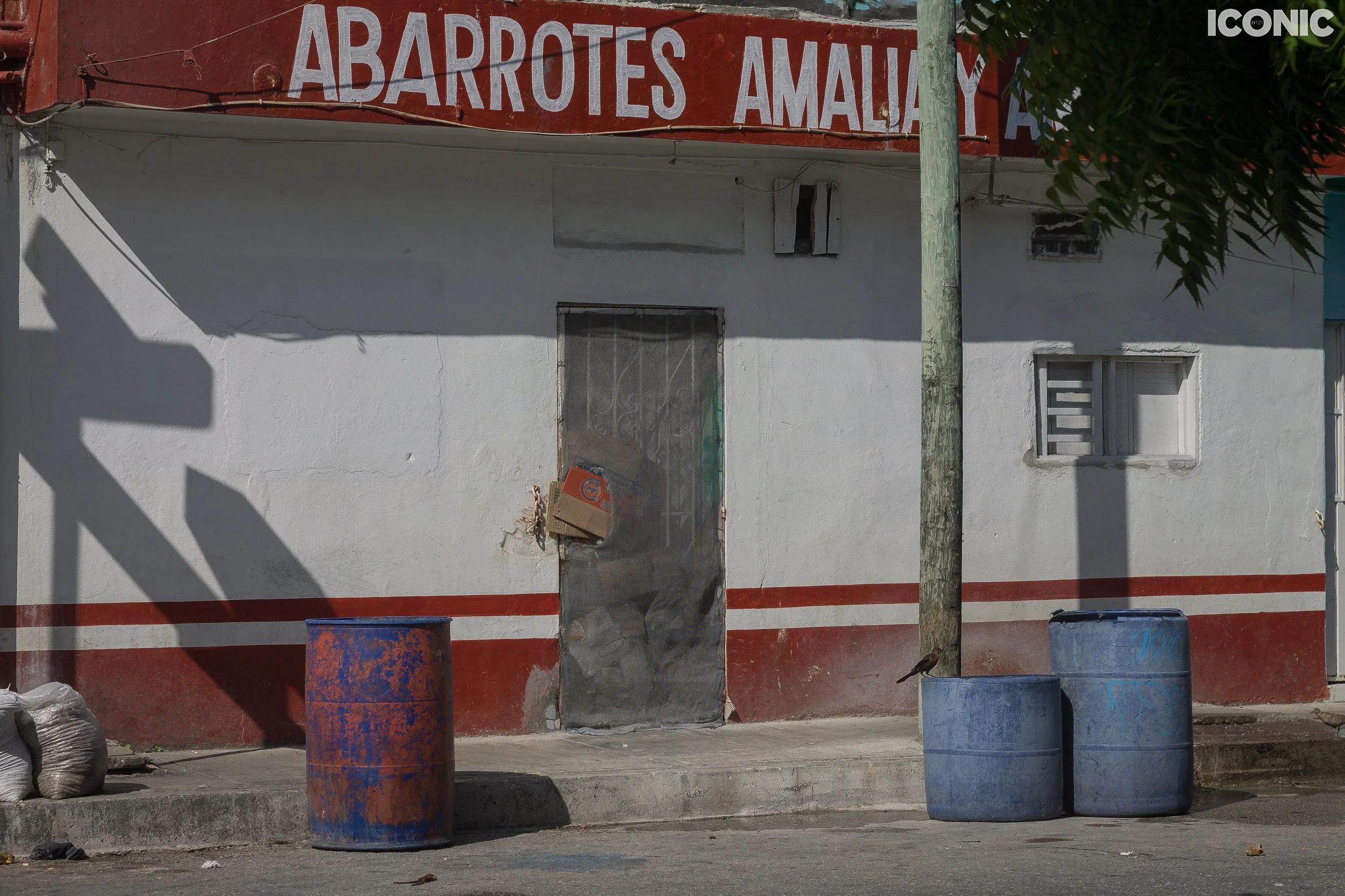 PHOTO BY
Rita Piludu
.