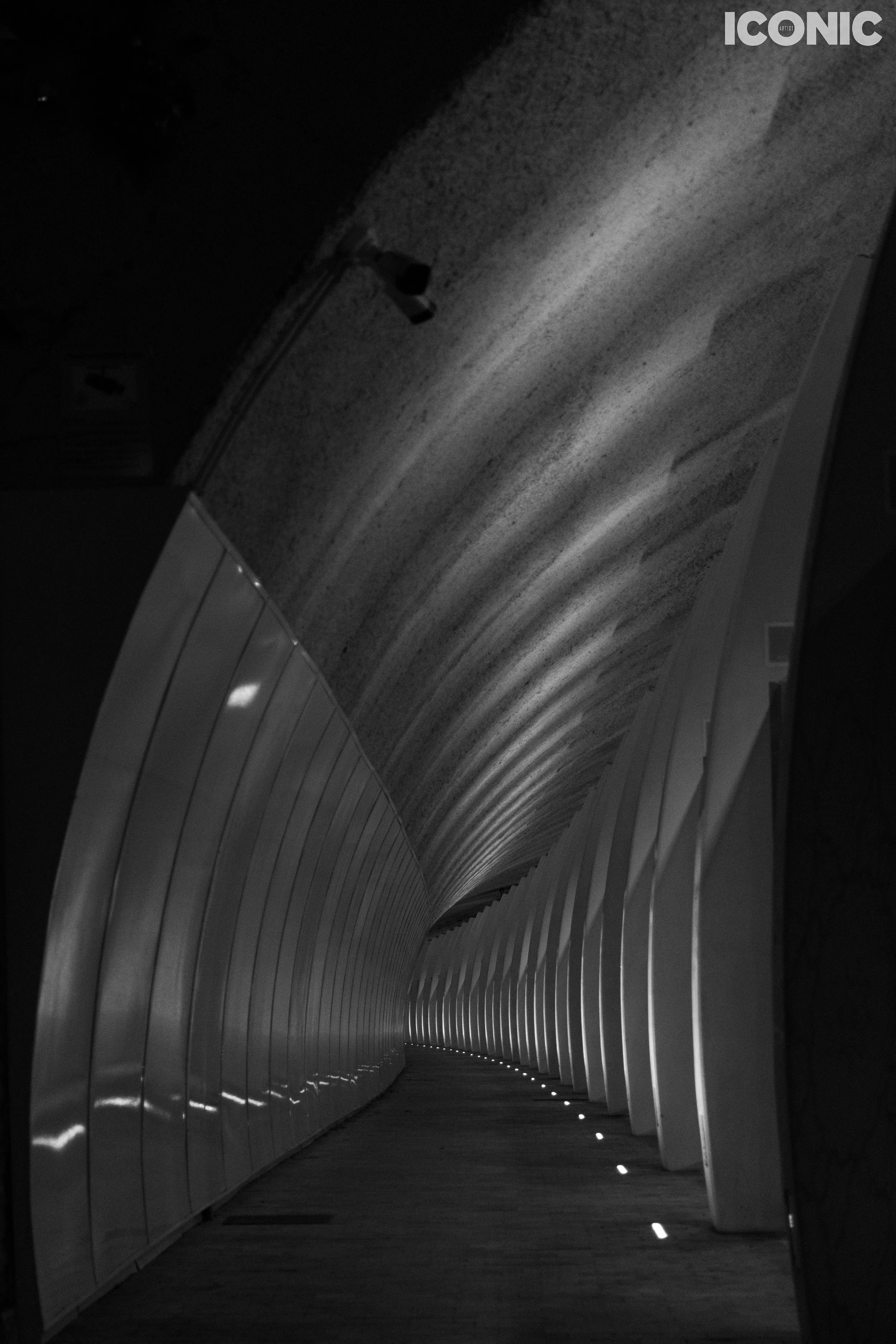 PHOTO BY
Olga Tarabukina
.