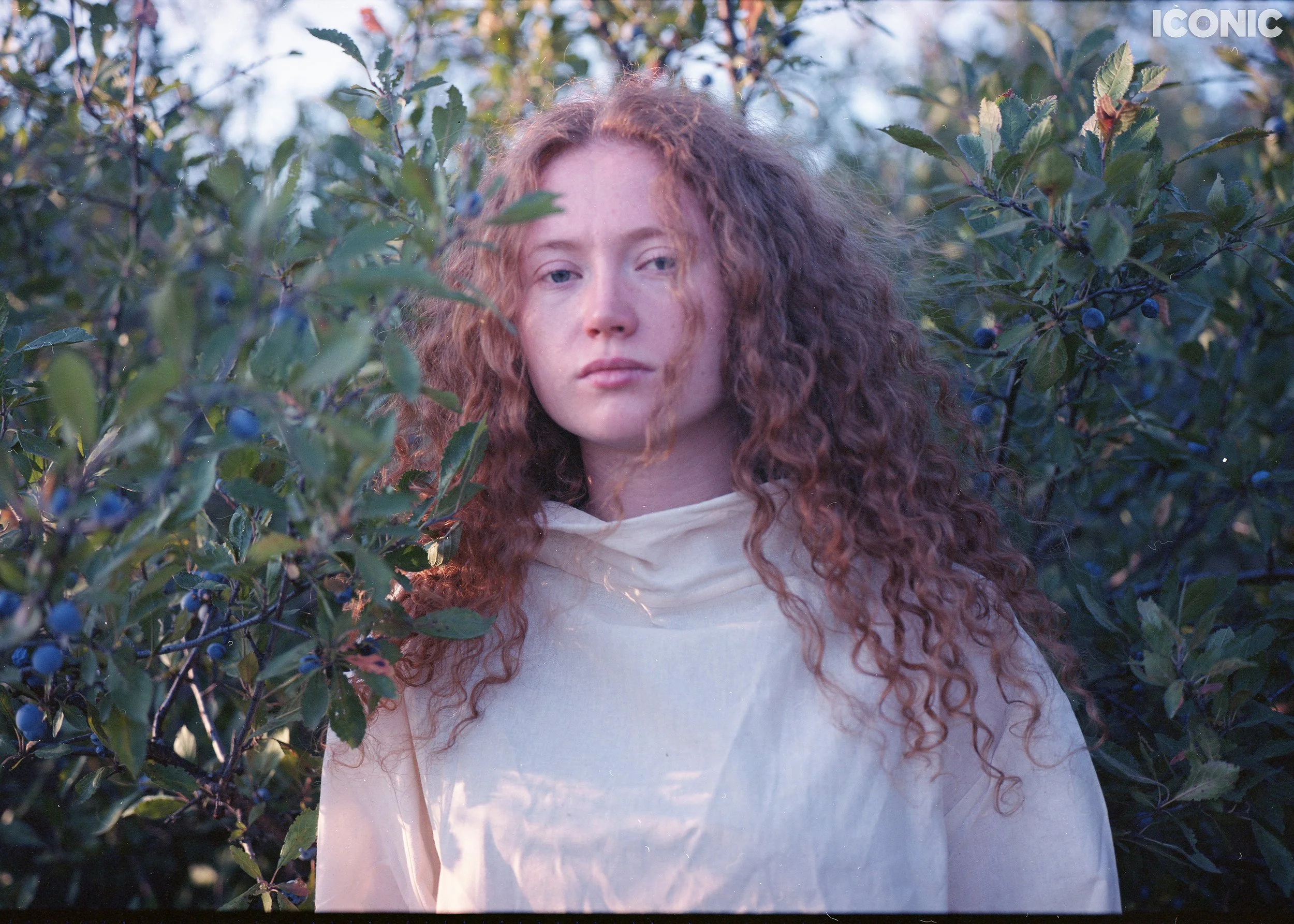 PHOTO BY
Dmitri Bordeniuc
.