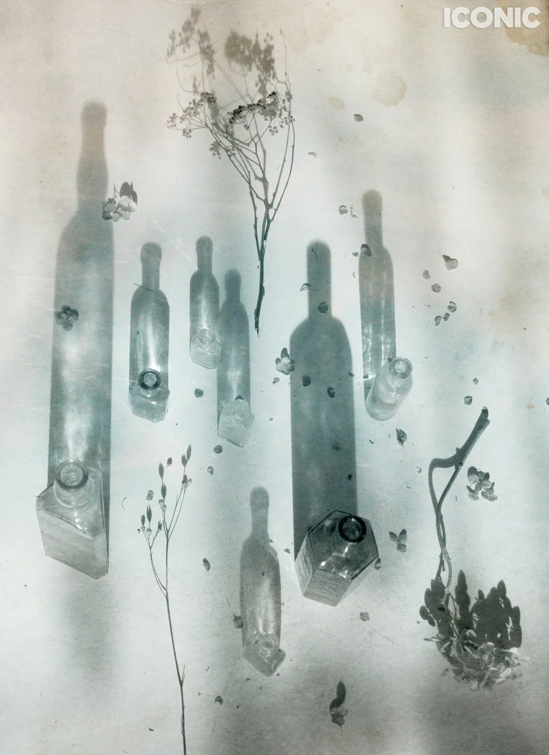 PHOTO BY
Masha Sapego
.