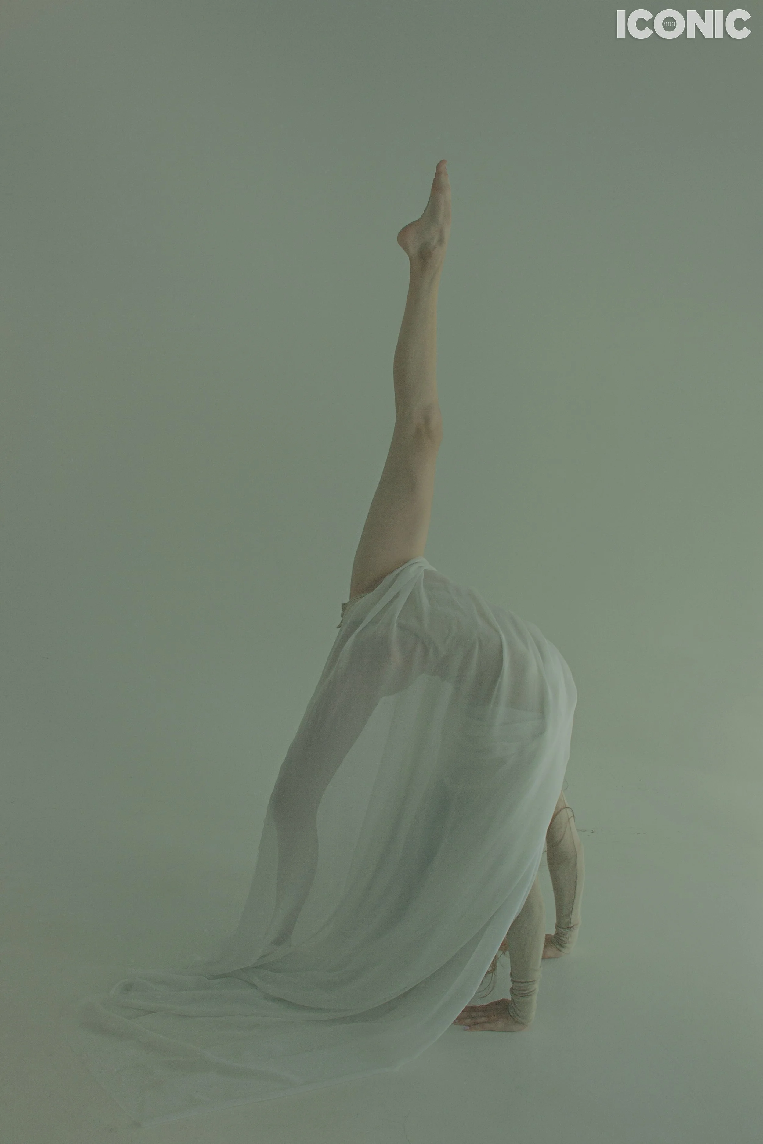 PHOTO BY
Nelli Zolotaya
_