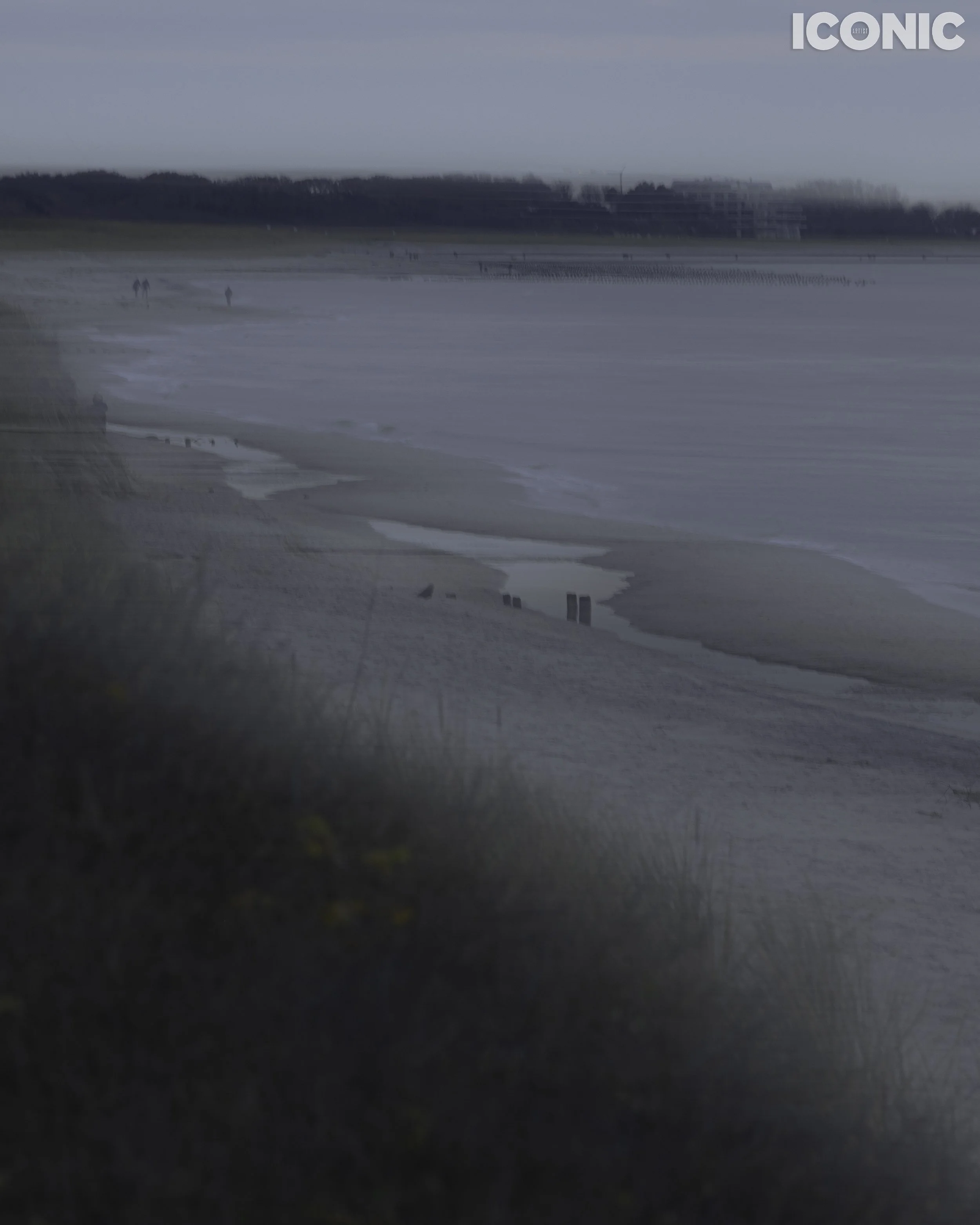 PHOTO BY
Olga Tarabukina
.