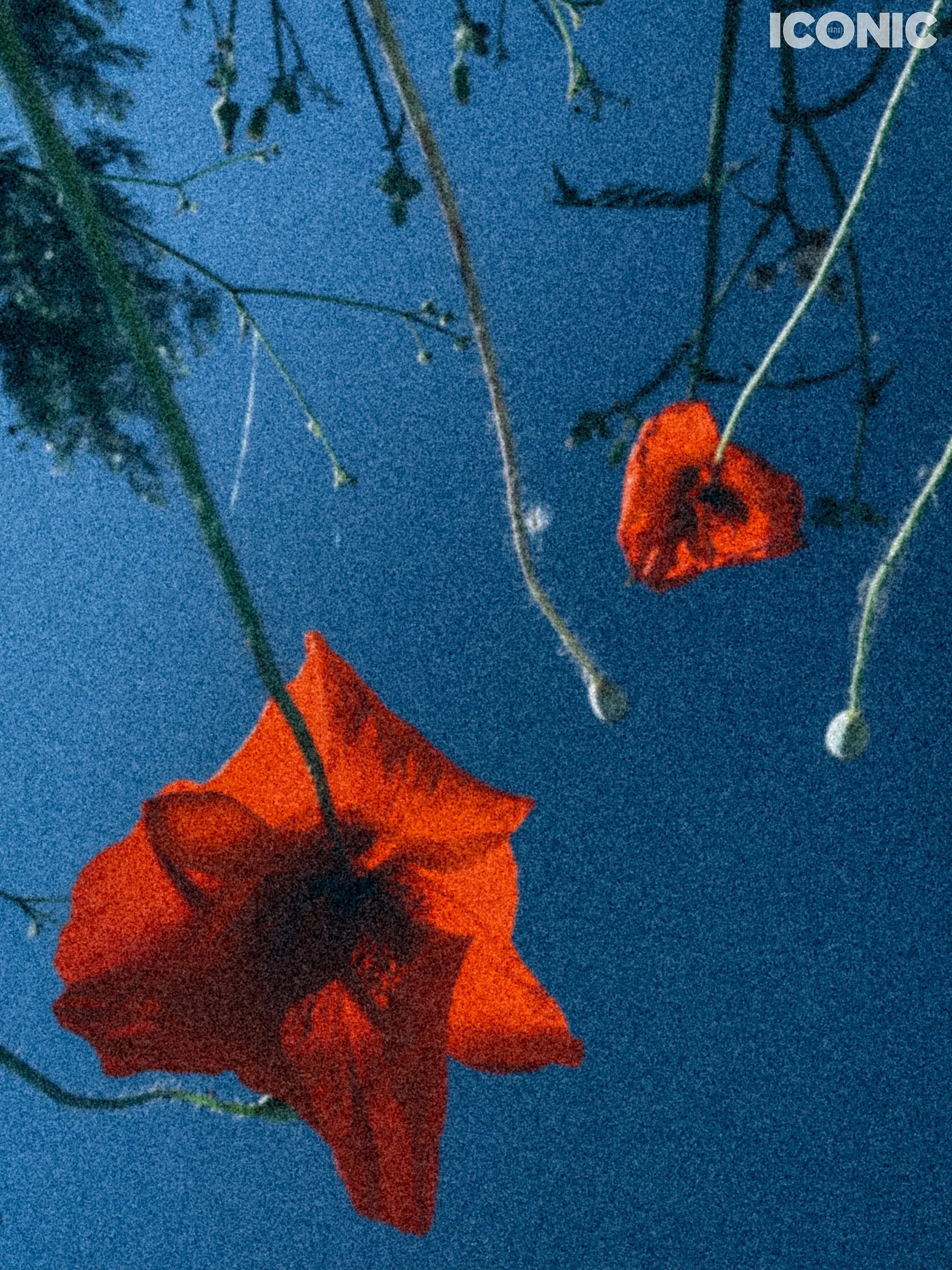 PHOTO BY
Lena Boga
.
