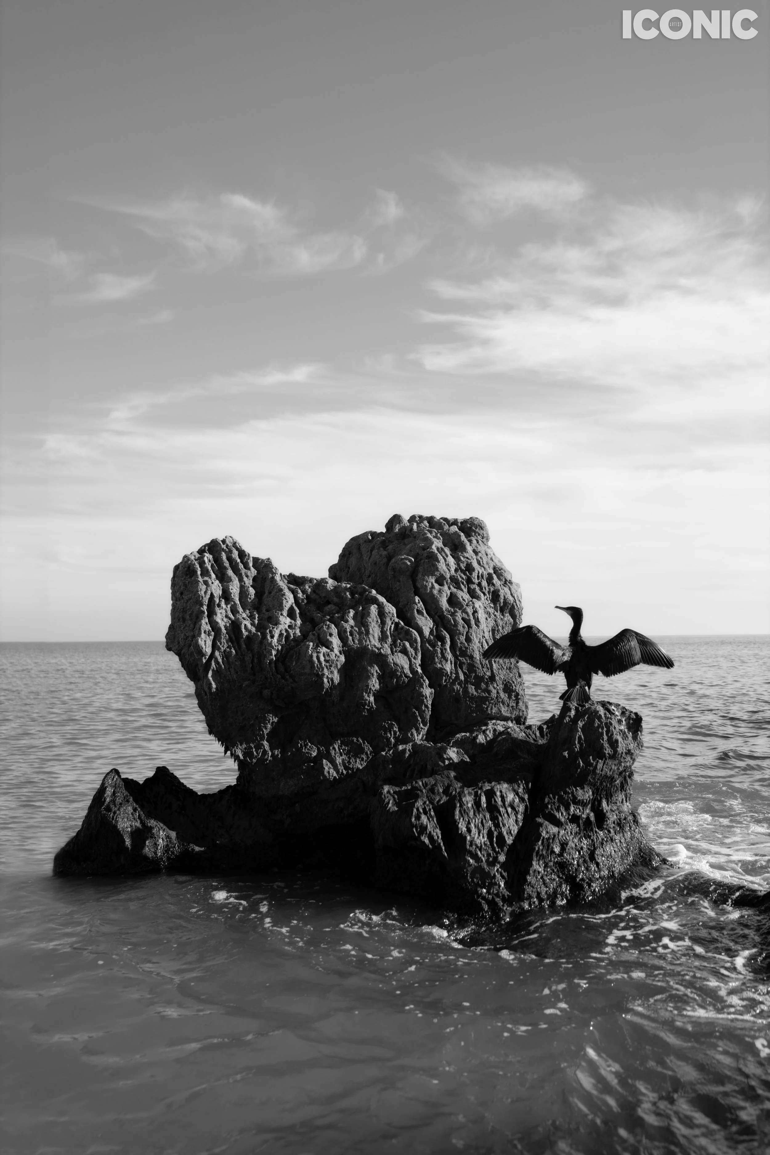 PHOTO BY
Anastasiia Sheshera
.