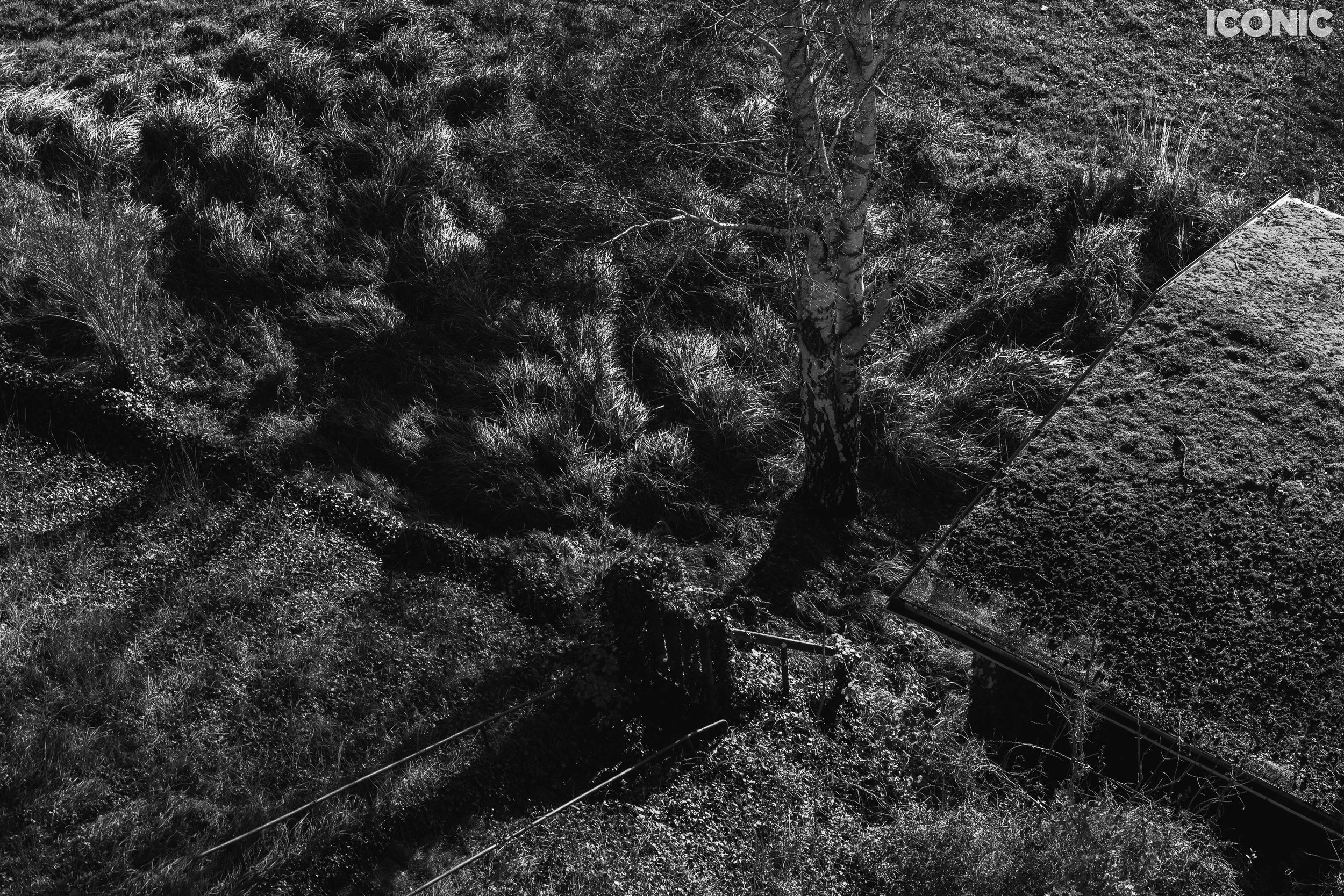 PHOTO BY
Olga Tarabukina
.