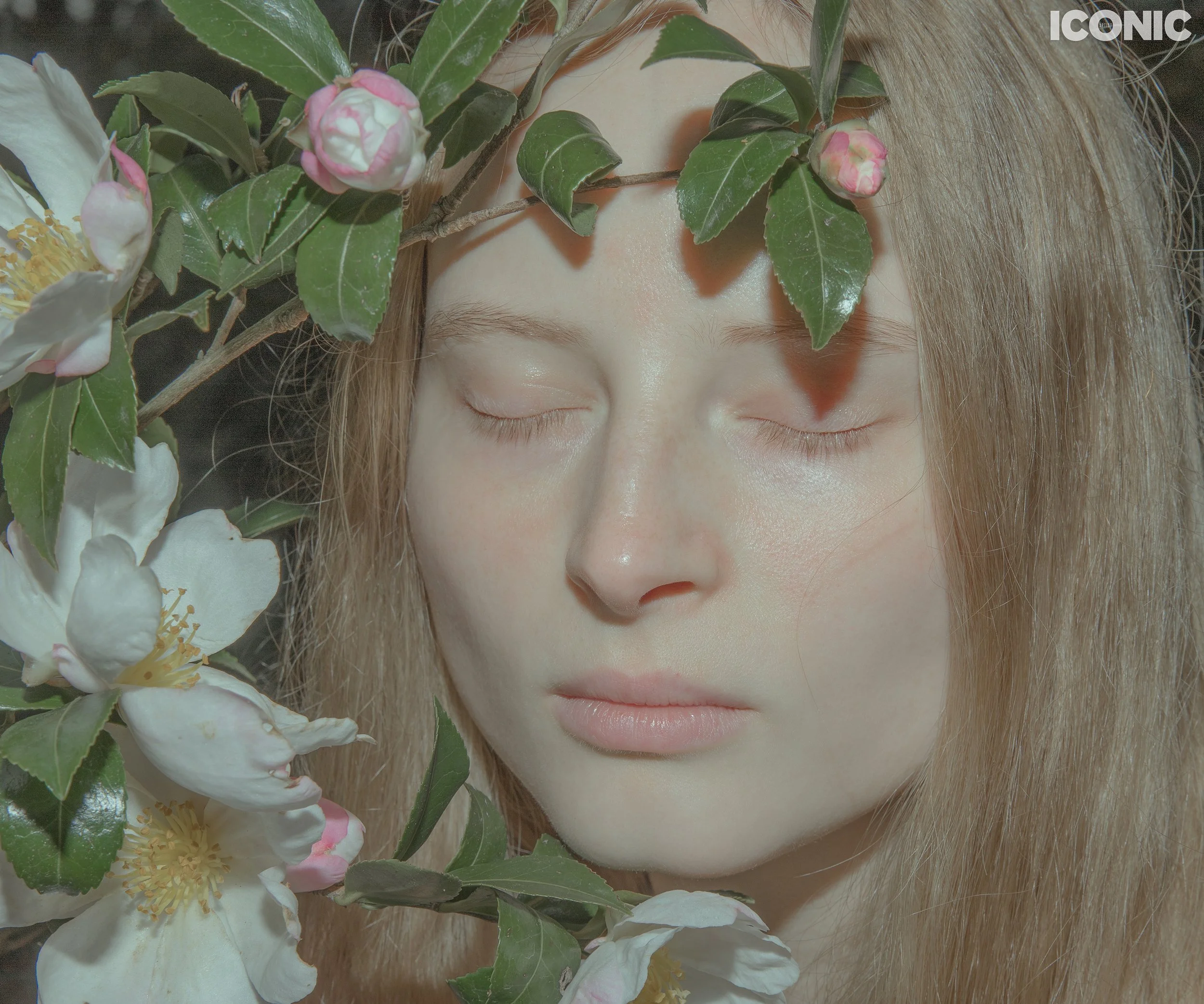 PHOTO BY
Elena Donskaya
.