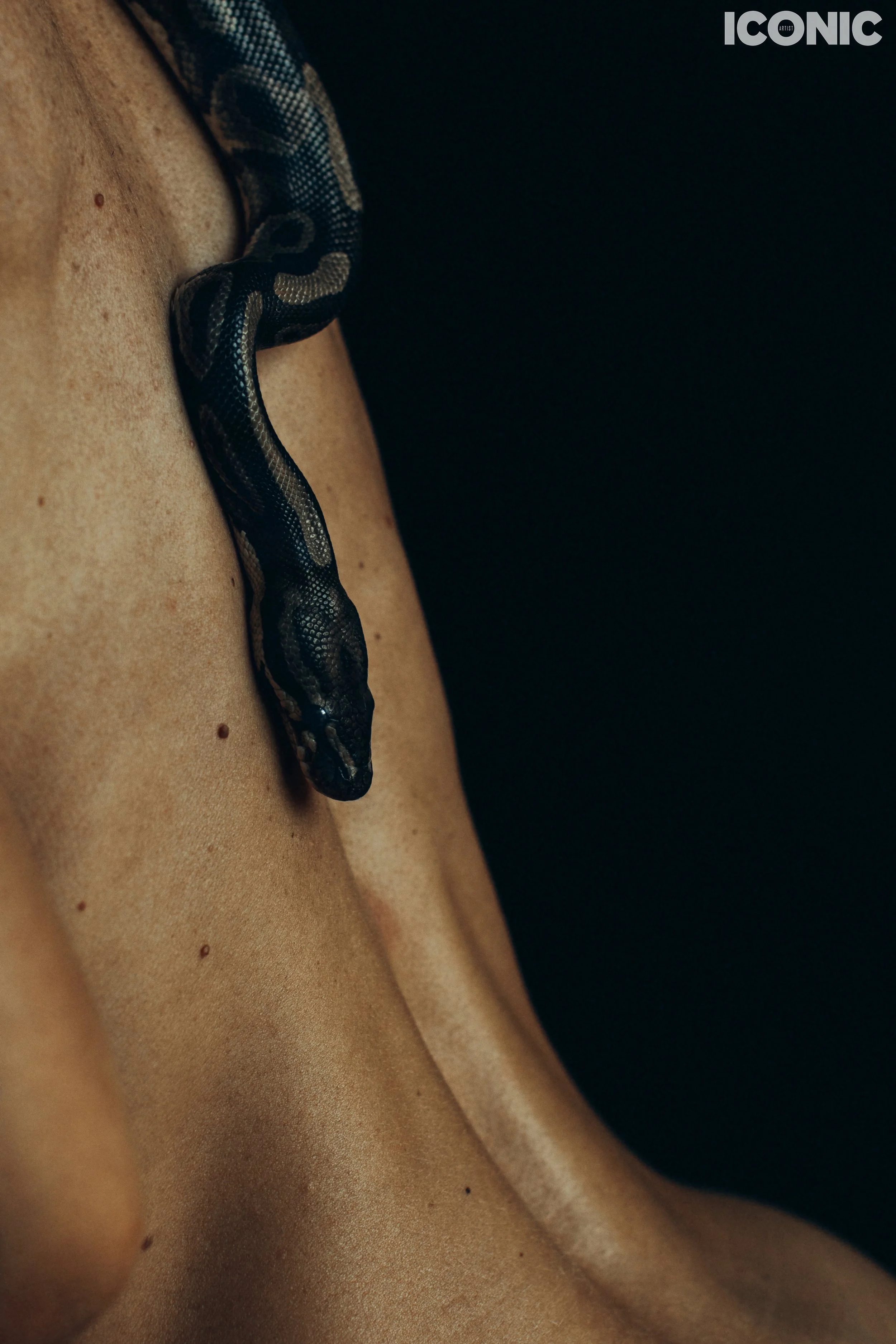 PHOTO BY
Angelika Poletaeva
.