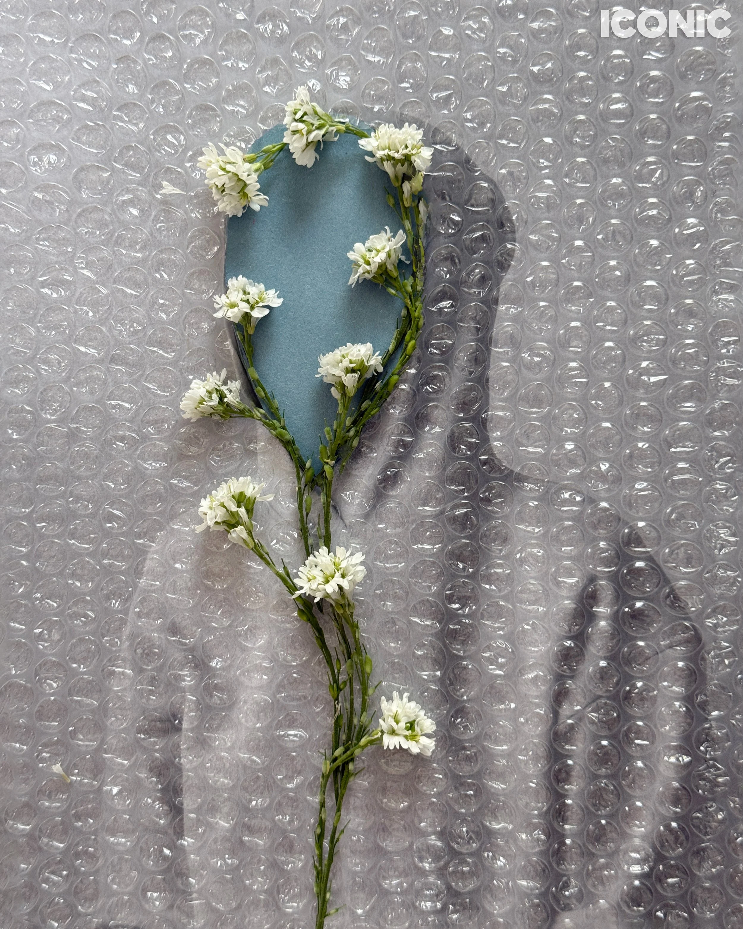 PHOTO BY
Maria Volnova
.