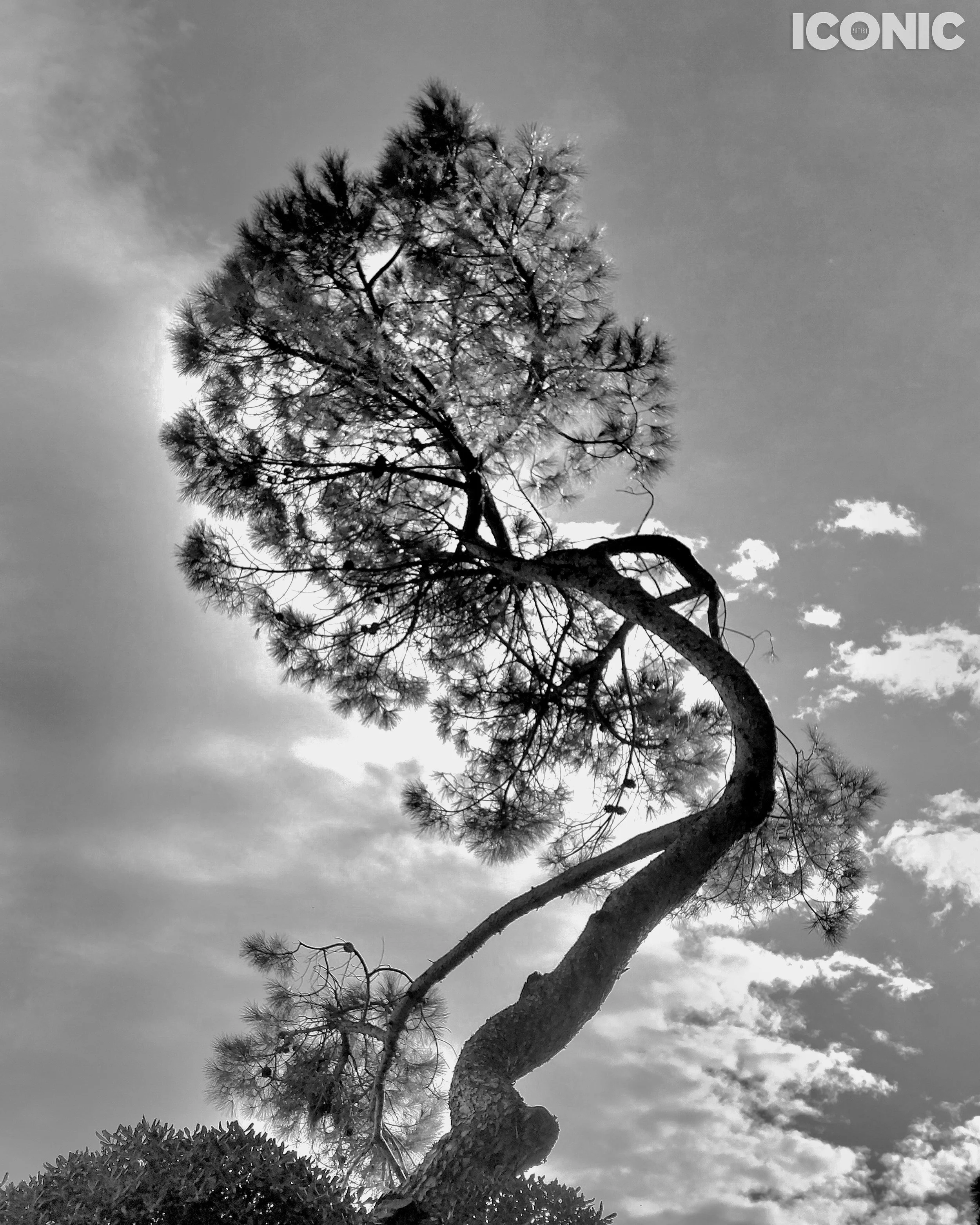 PHOTO BY
Annamaria Pinciotti
.
