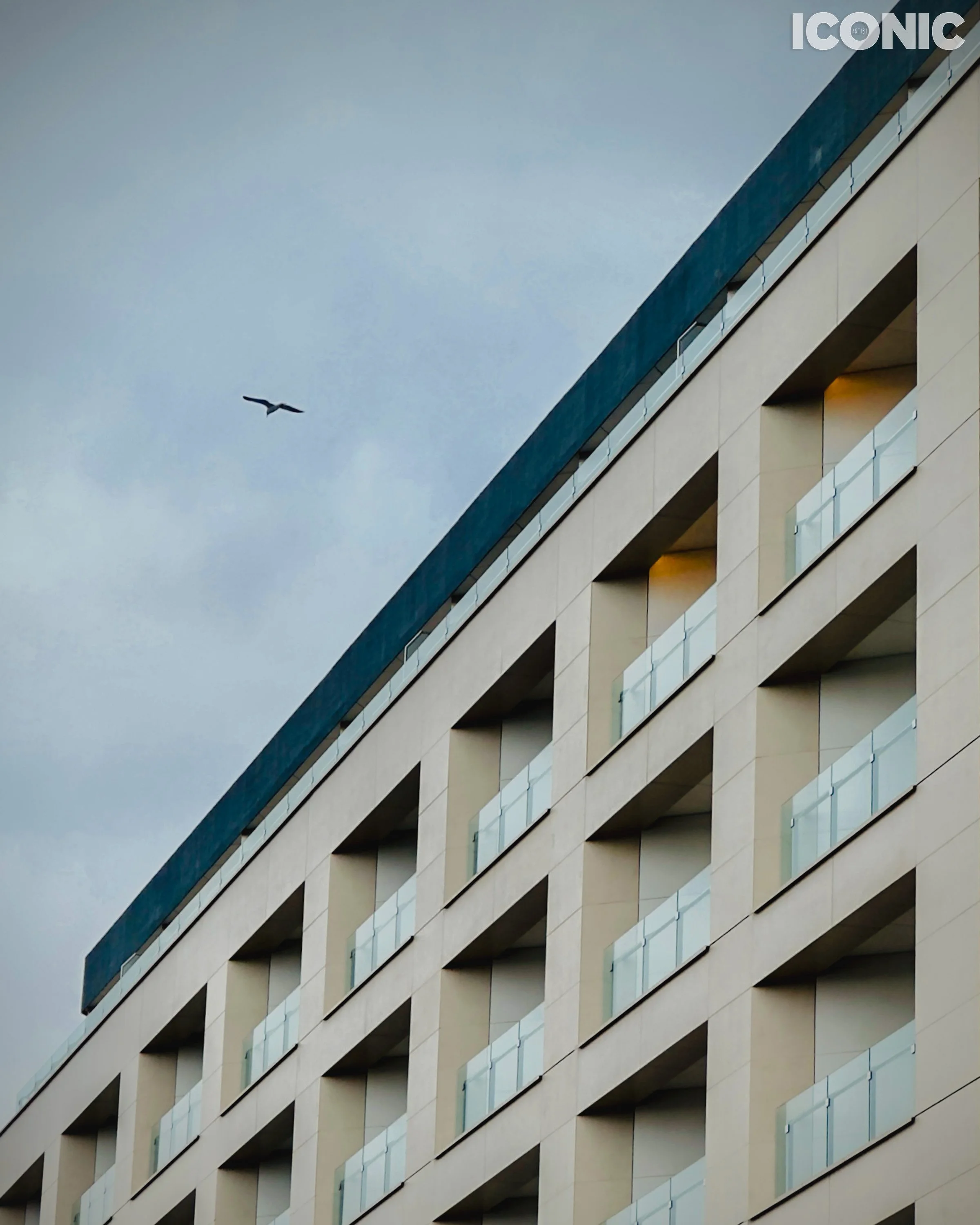 PHOTO BY
Olga Neff
.