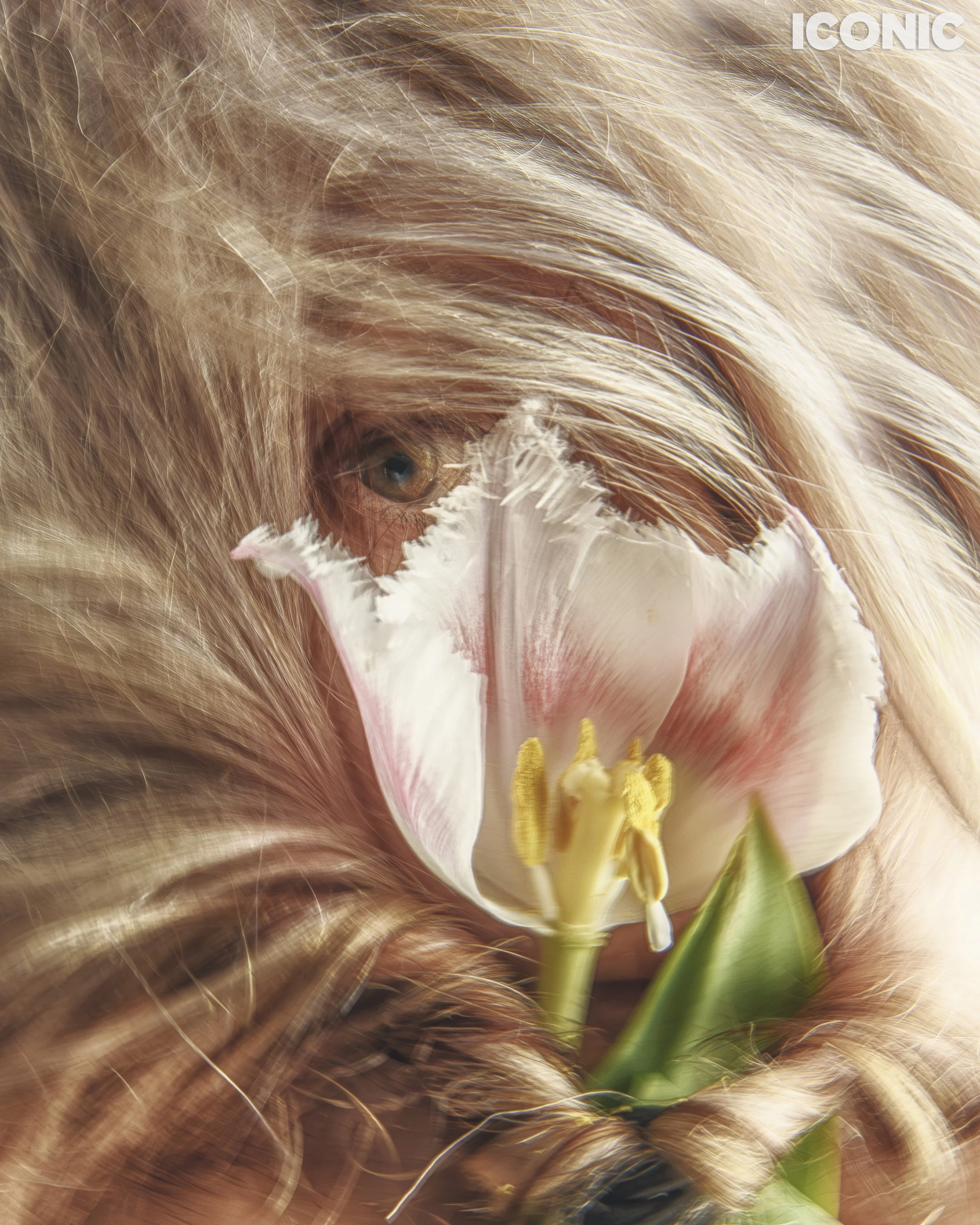 PHOTO BY
Elya Kezene
.