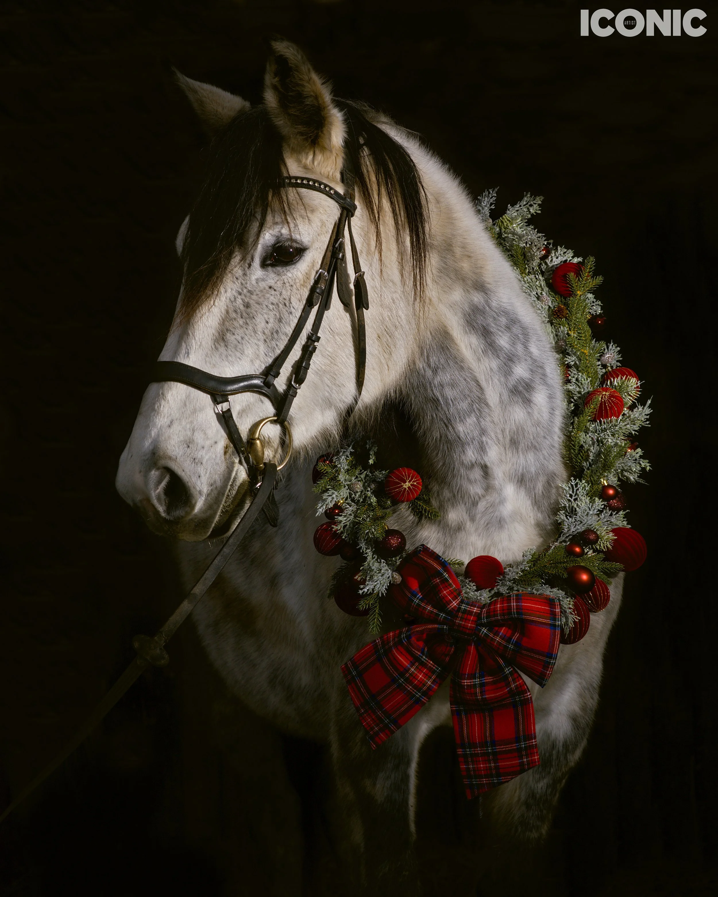 PHOTO BY
Marina Krasovska
.