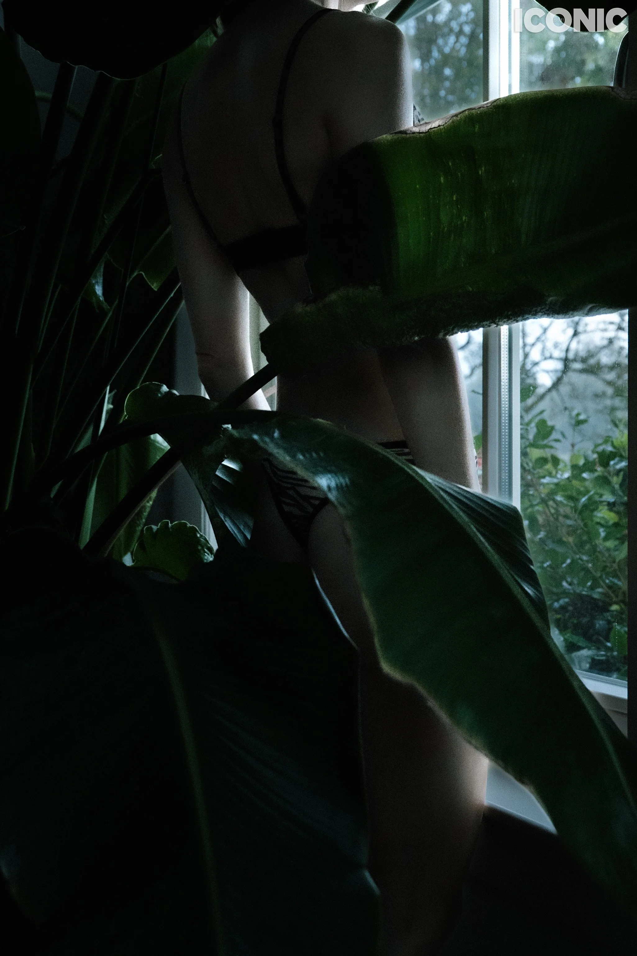 PHOTO BY
Olga Kalashnikova
.