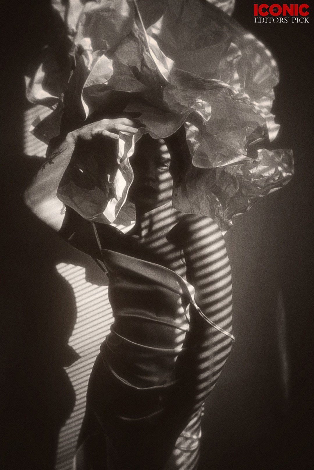PHOTO BY
Katia Petrova
.