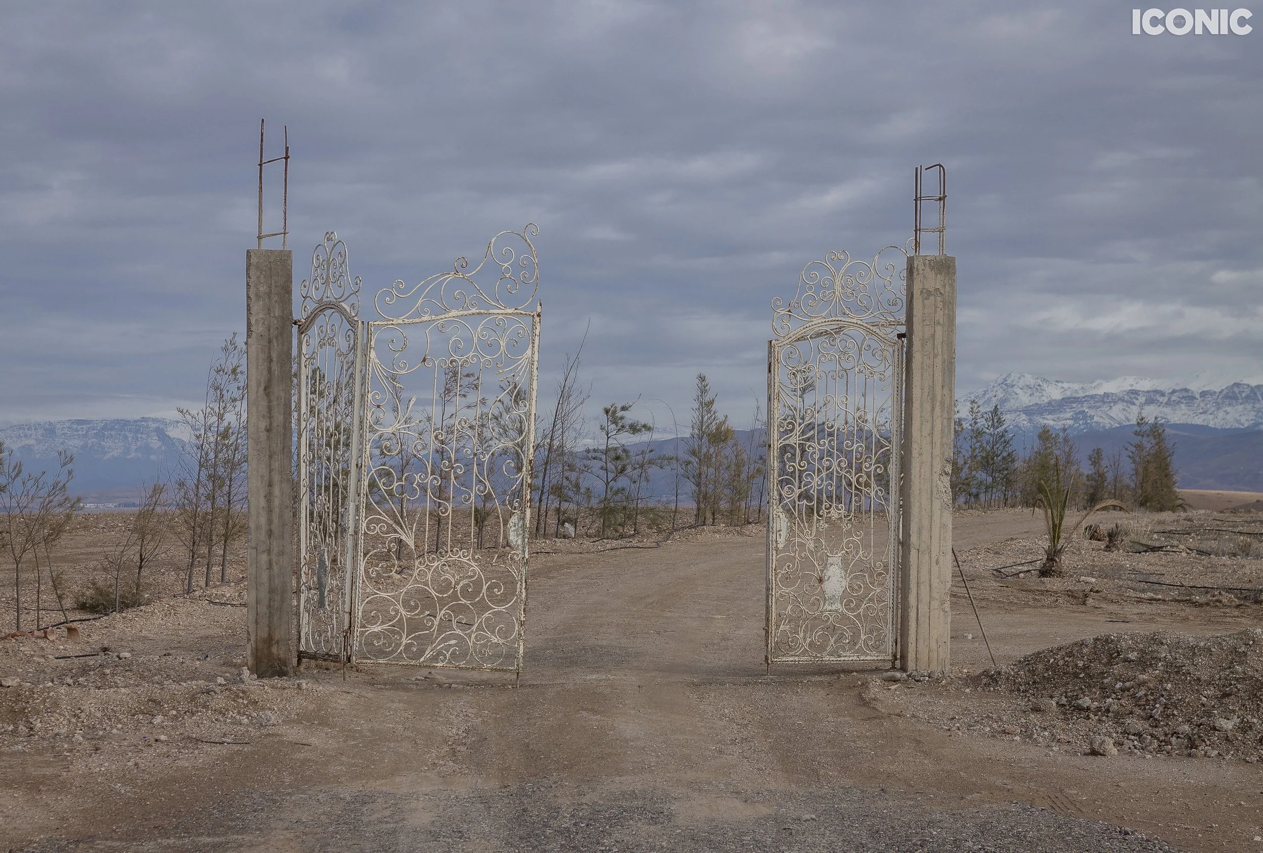 PHOTO BY
Rita Piludu
.