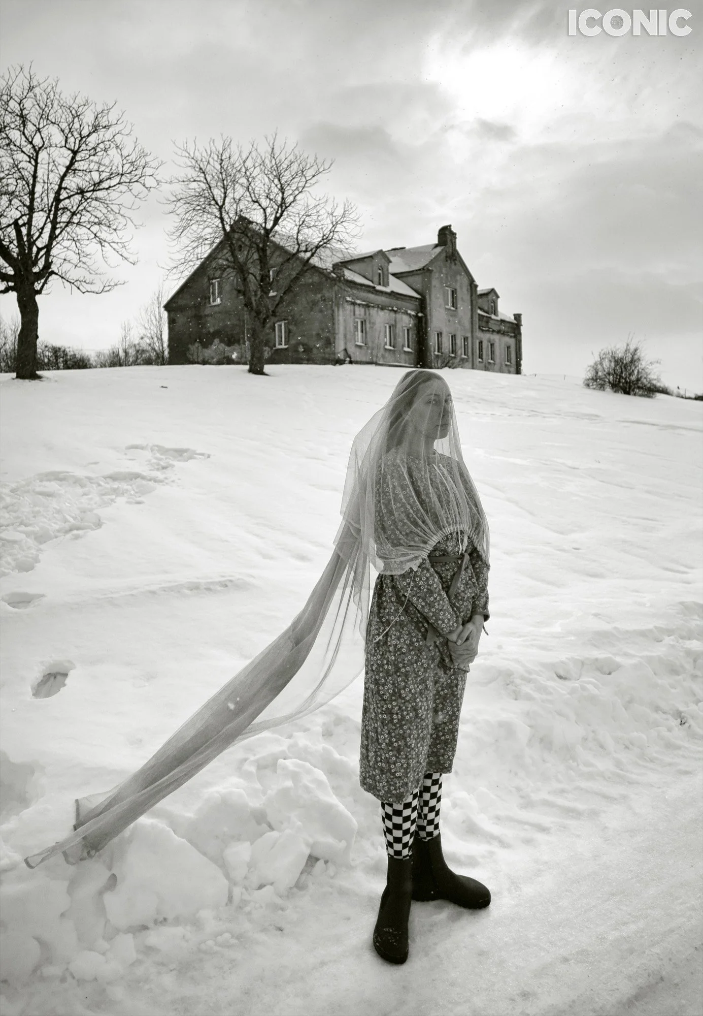 PHOTO BY
Masha Sapego
.