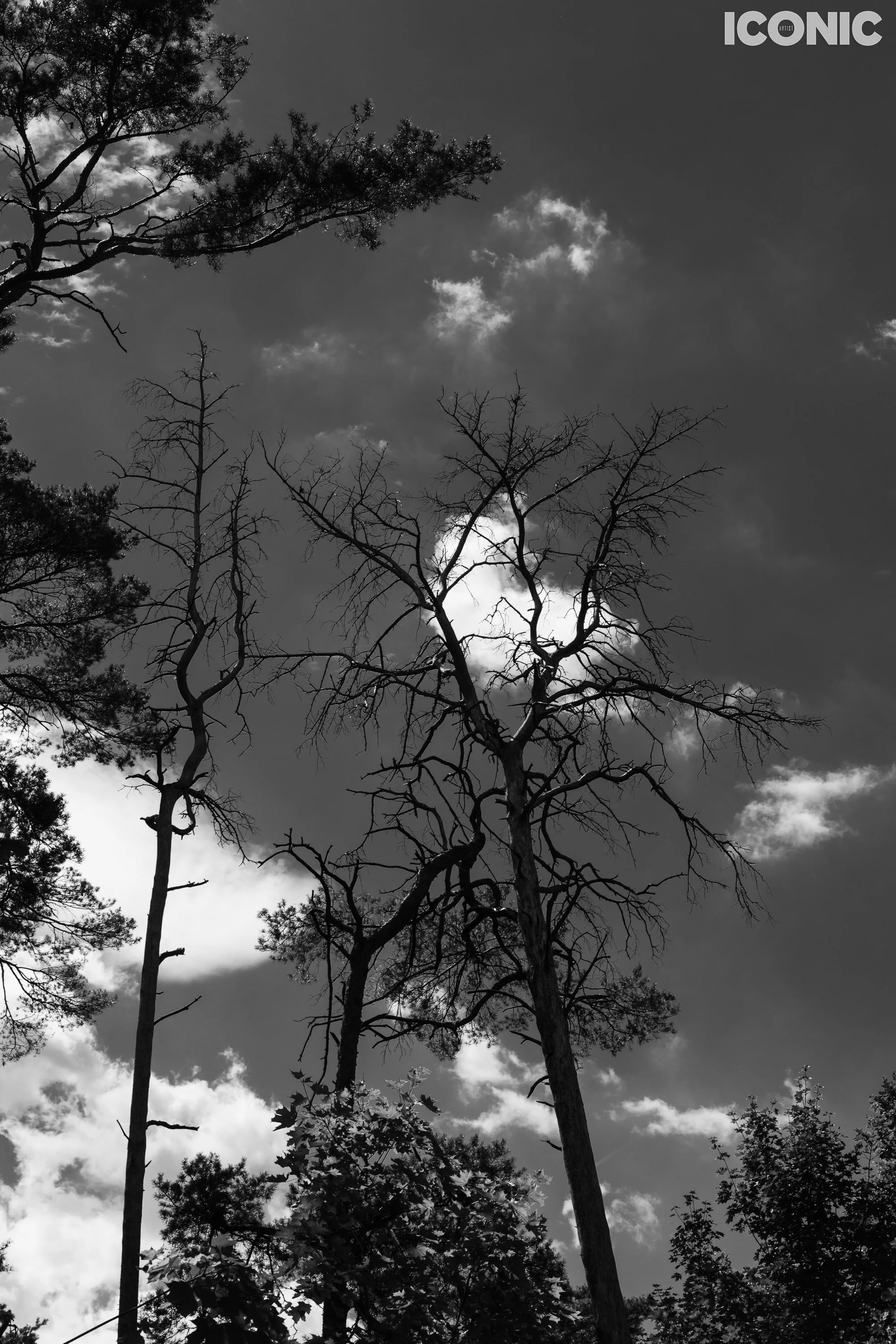 PHOTO BY
Olga Tarabukina
.