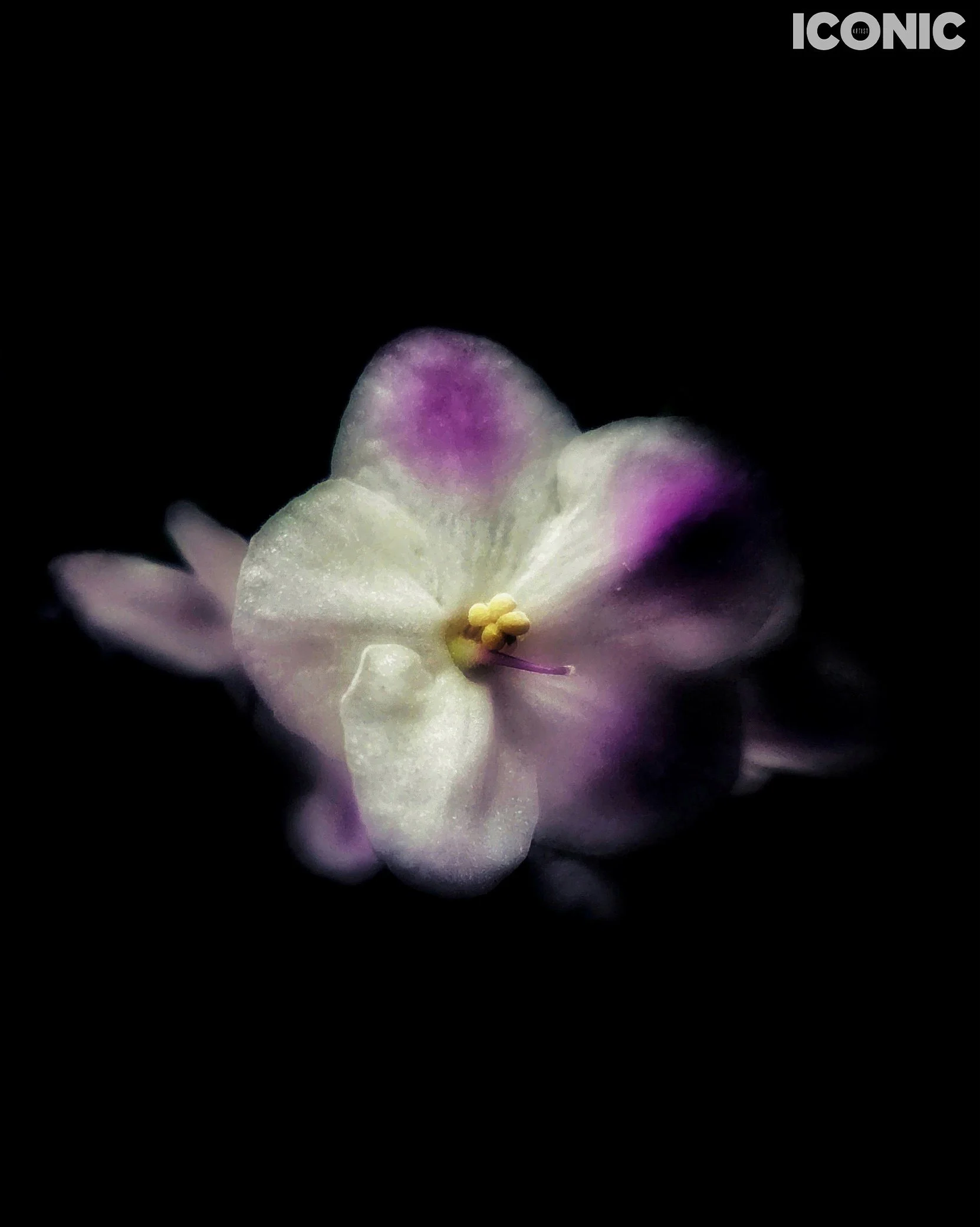 PHOTO BY
Aleksandra Kropivka
.