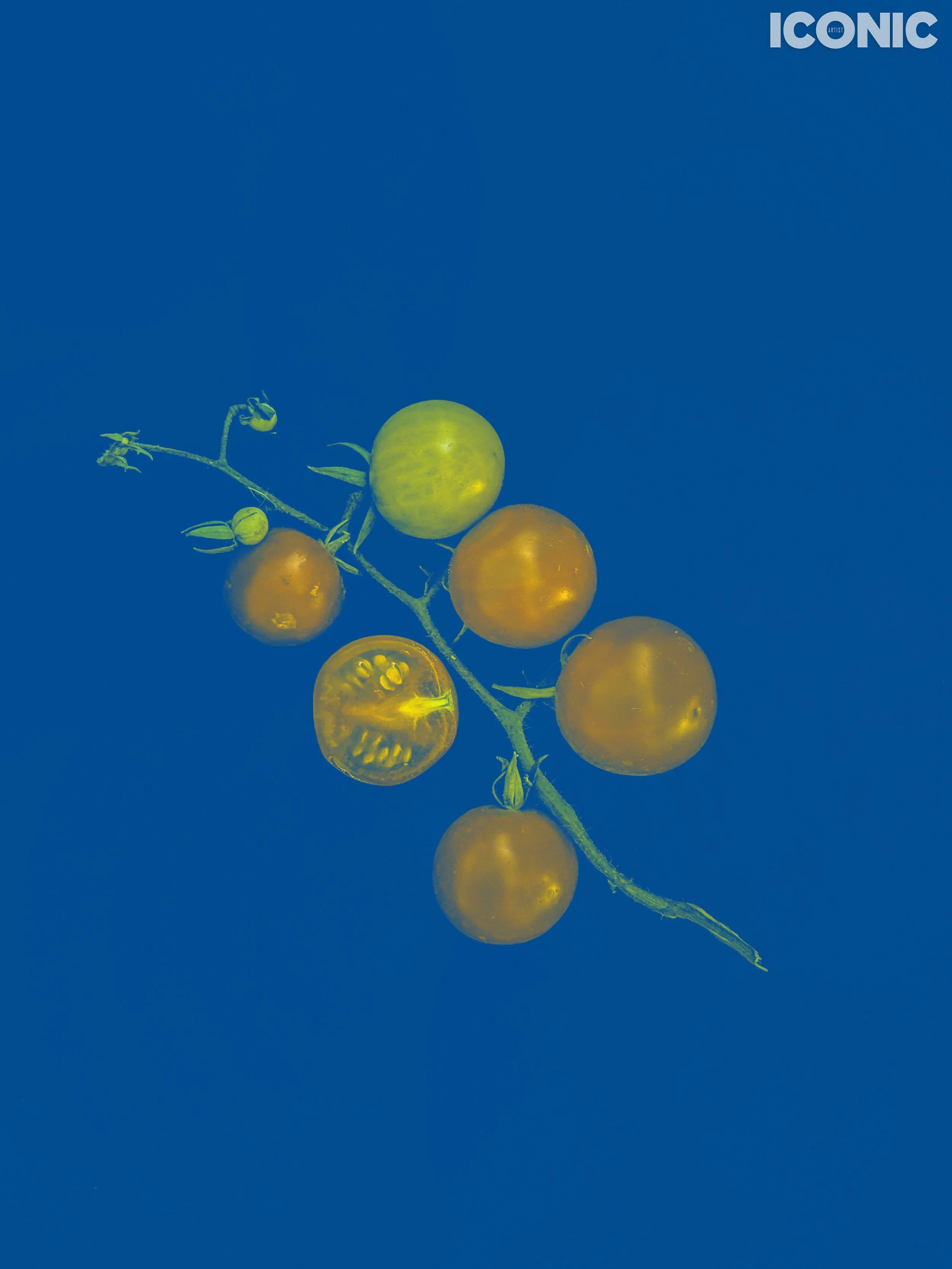 PHOTO BY
Olena Umantseva
.